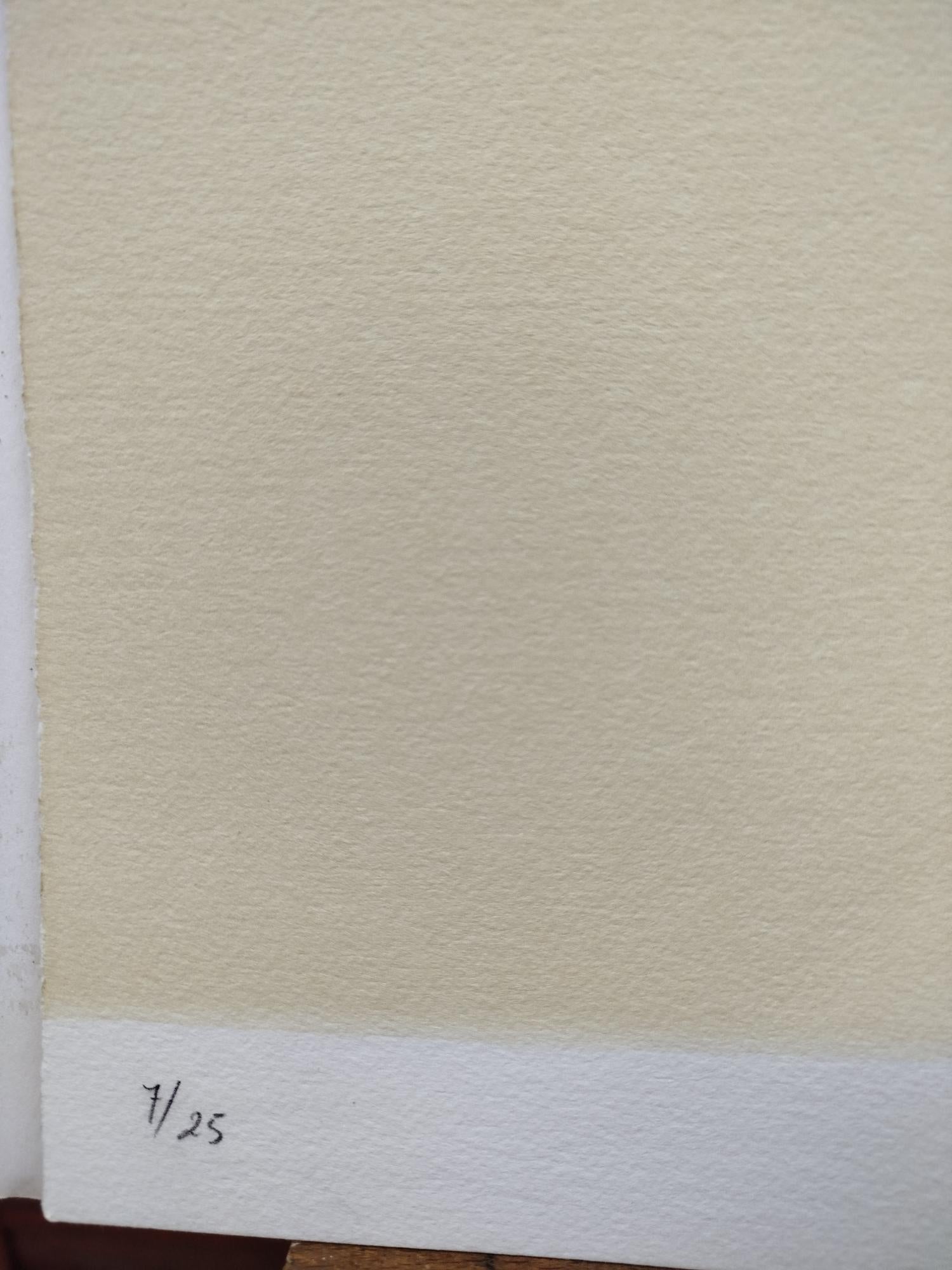 Castillo 19 Compañeros expressionist abstract litografia - Beige Abstract Painting par Jorge Castillo