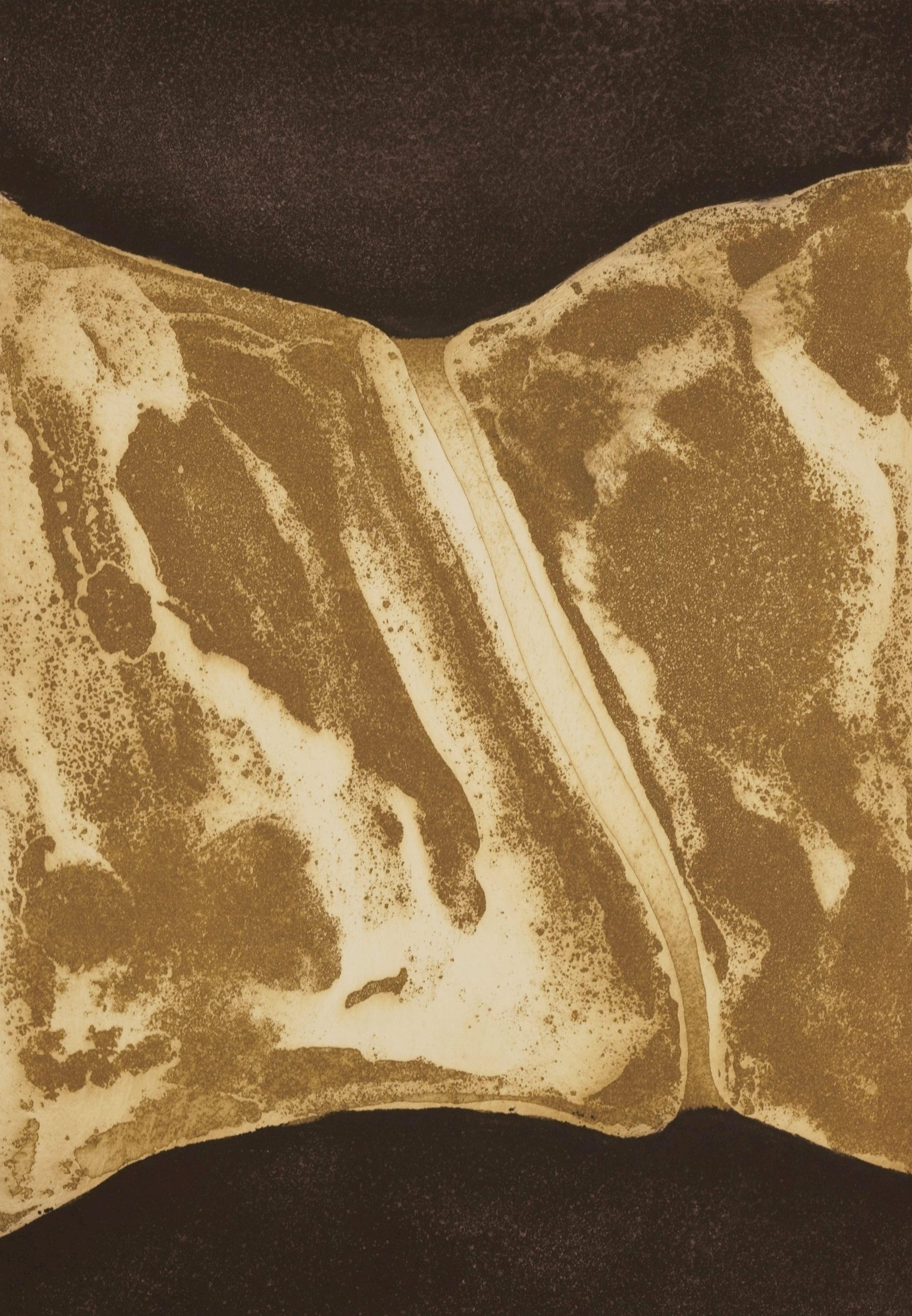 Untitled / - The archaism of nature - - Print by Jorge Machold