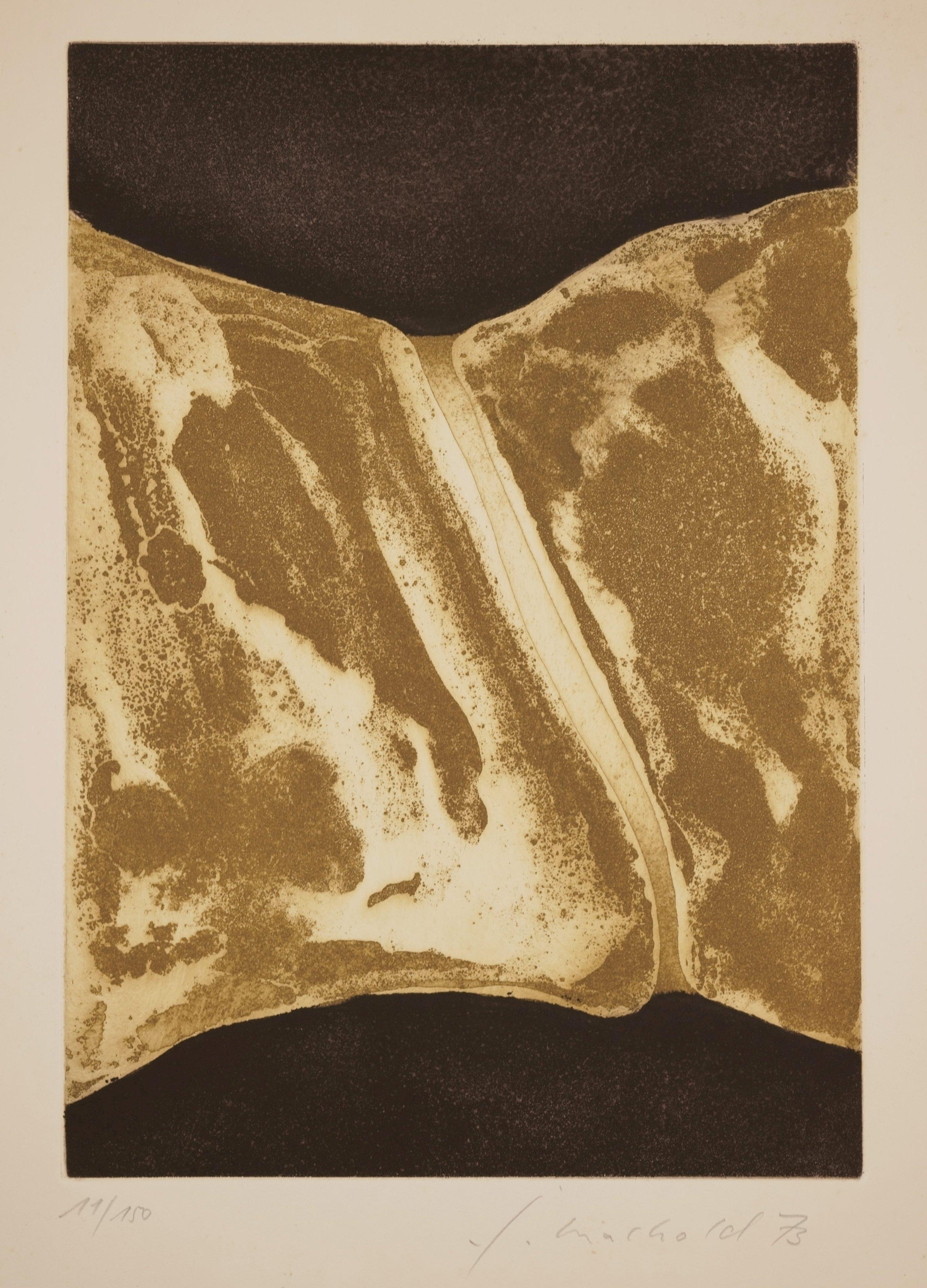 Jorge Machold Print - Untitled / - The archaism of nature -