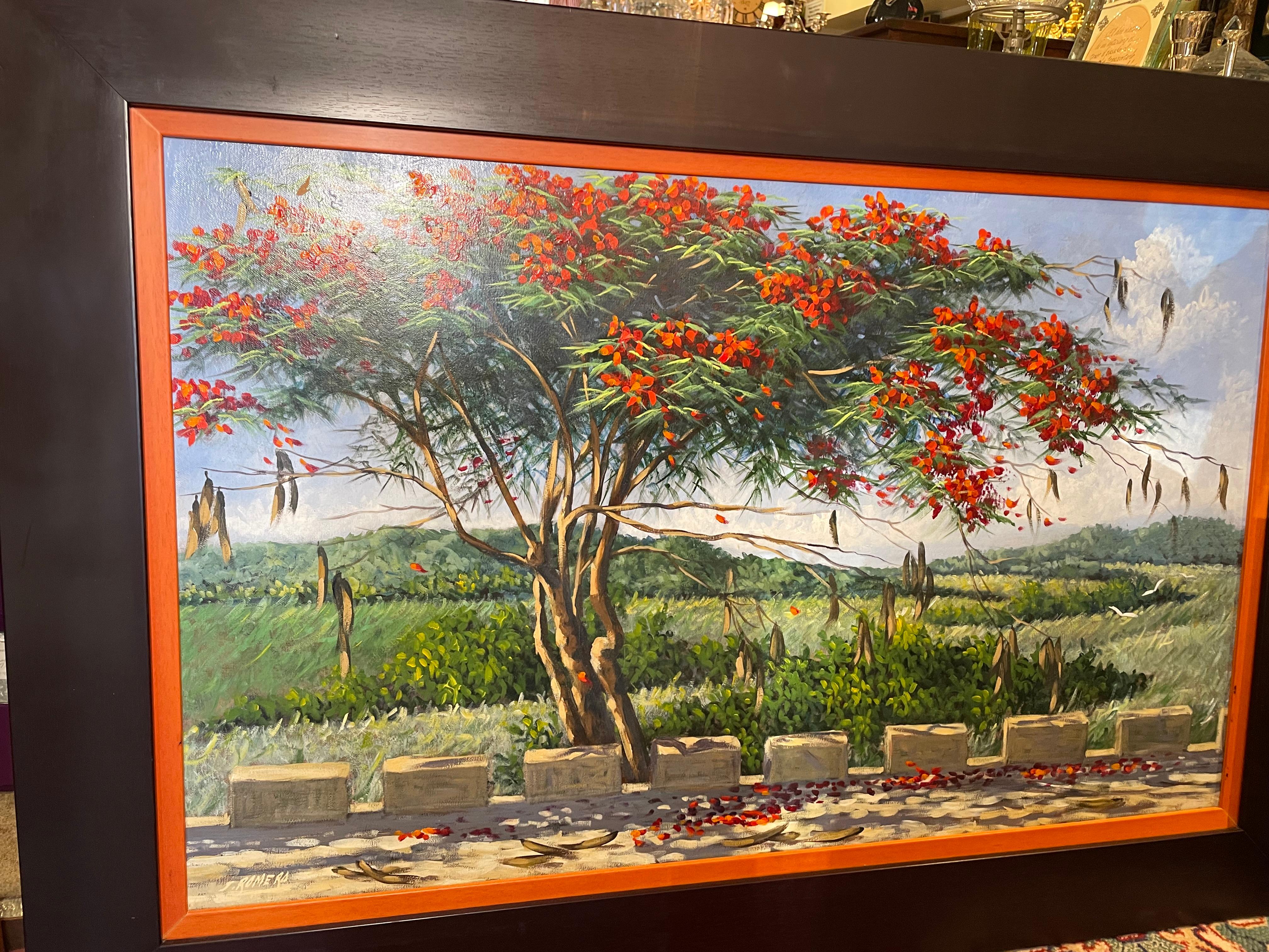 Dies ist ein Ölgemälde von einem Flamboyant oder Royal Poinciana Baum. Es zeigt einen großen belaubten Flamboyant-Baum in einer luftigen Landstraße in Puerto Rico. Einige rote Blütenblätter sind auf den Straßenrand gefallen. Im Hintergrund des