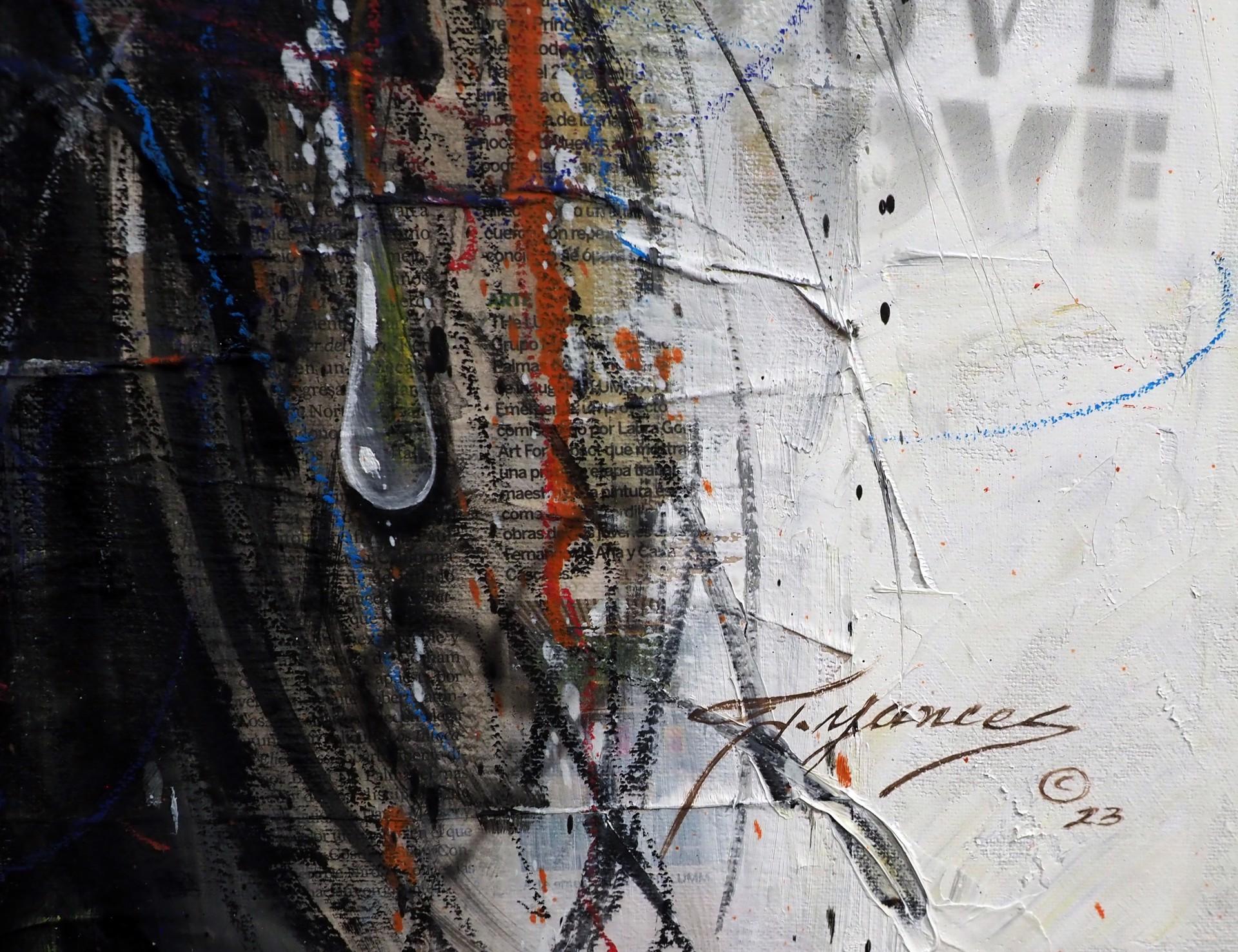 Never Give Up ritrae una giovane donna con occhi azzurri e labbra rosse circondata da fiori bianchi e rossi attraverso l'uso di pittura, grafite e collage. Yances riflette la tradizione letteraria latina del realismo magico, fondendo fantasia e