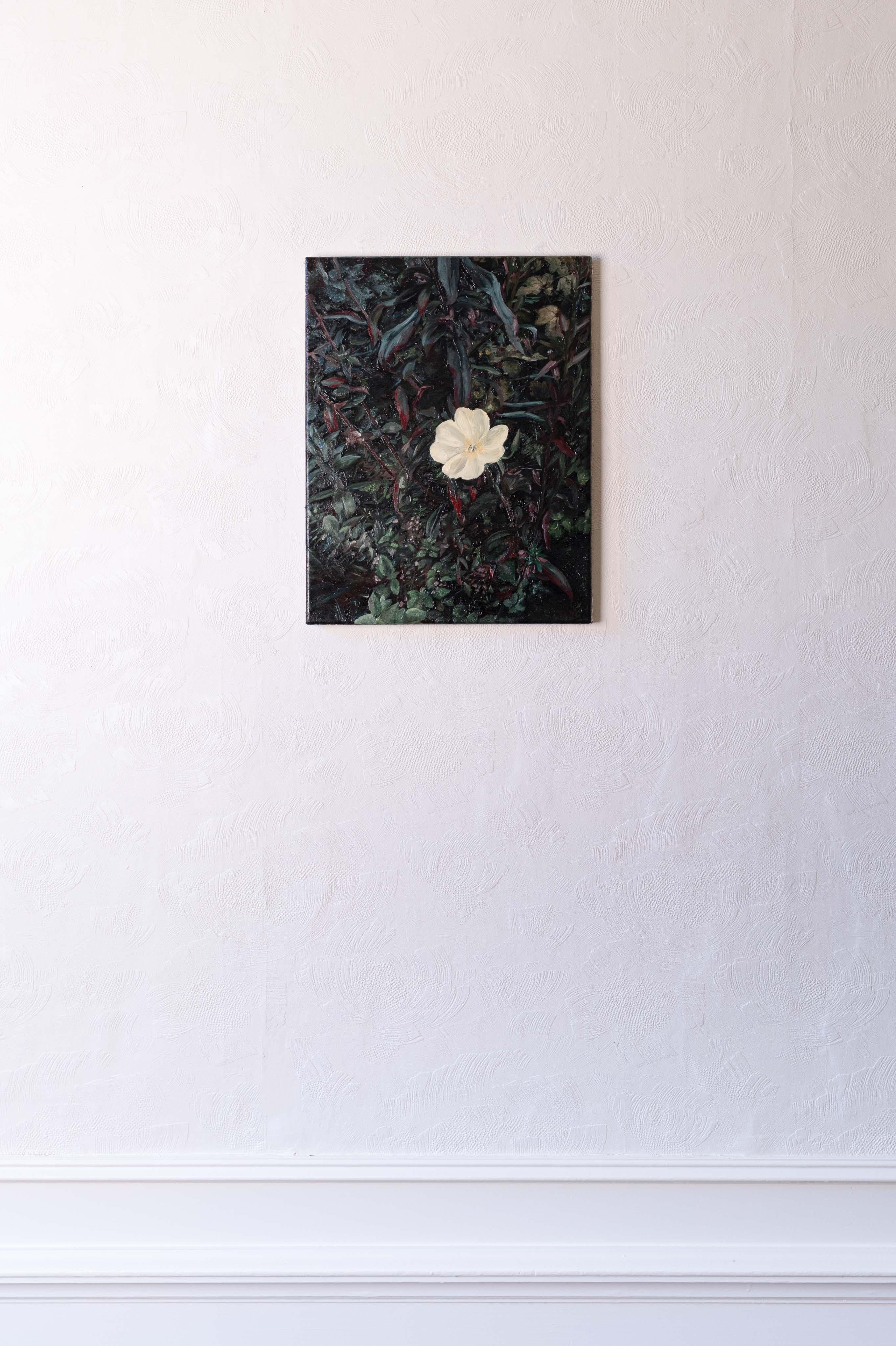 Quadro ad olio su tela raffigurante una primula bianca - Still-Life Painting Nero di Joris Vanpoucke