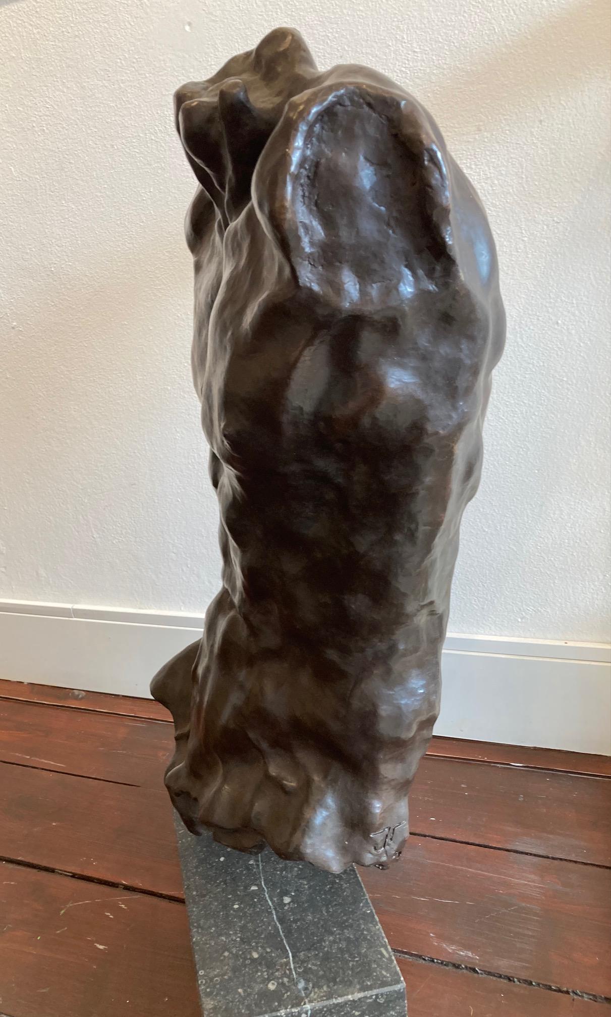 Körper und Seele Bronze-Skulptur Torso männlicher Akt auf Lager  (Gold), Nude Sculpture, von Joris Verdonkschot 