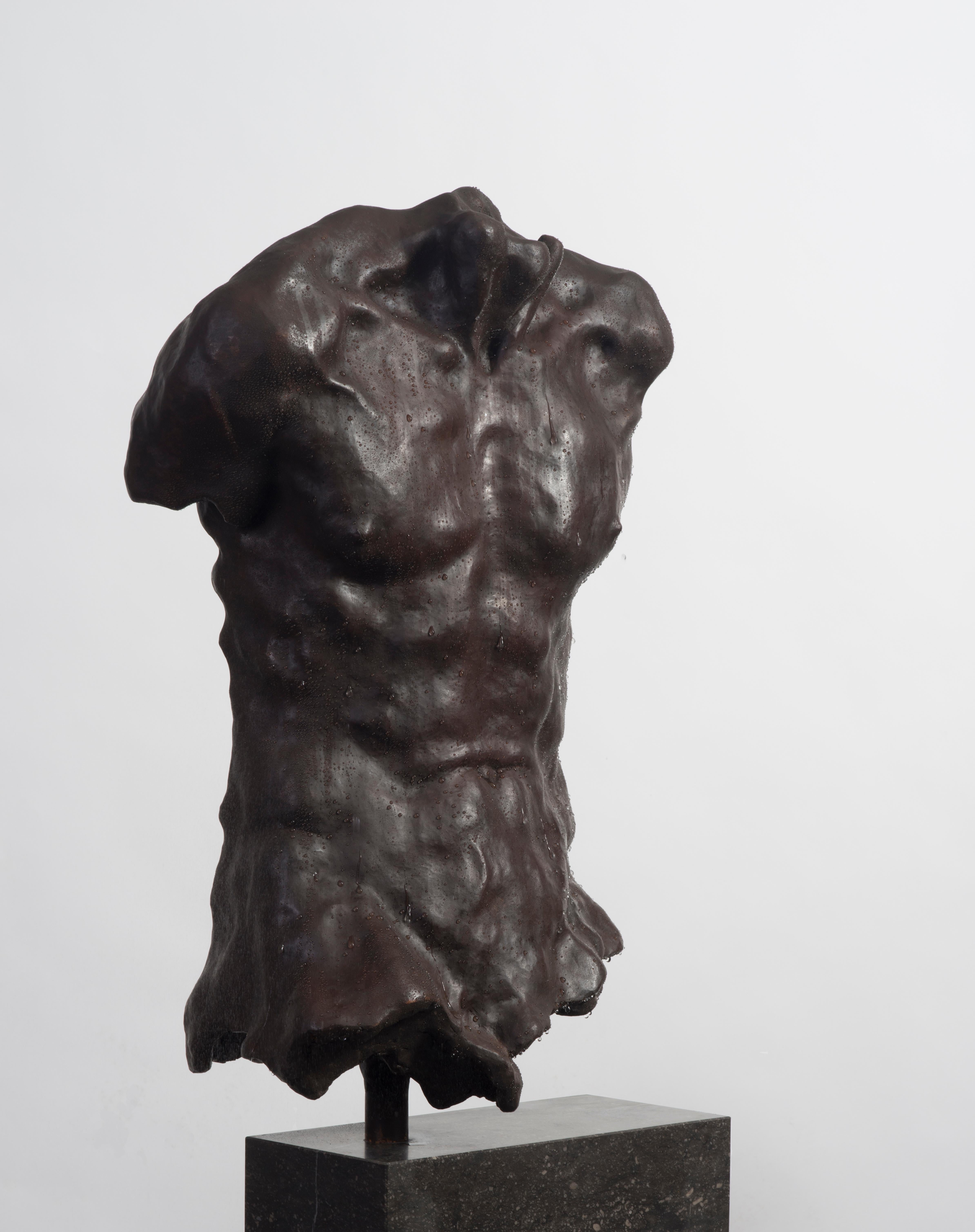 Joris Verdonkschot  Nude Sculpture – Körper und Seele Bronze-Skulptur Torso männlicher Akt auf Lager 