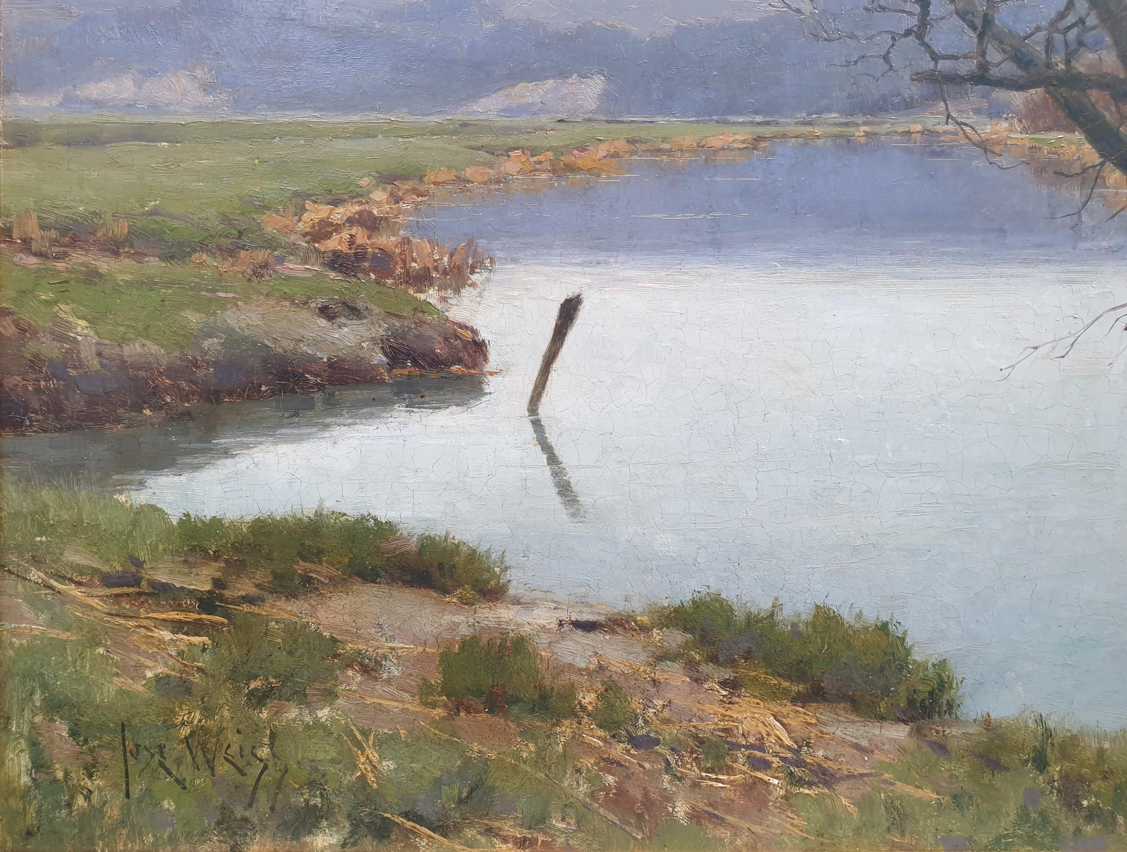 WEISS Pintura británica Paisaje Sussex río inundado árbol XIX - Painting Escuela inglesa de José Weiss