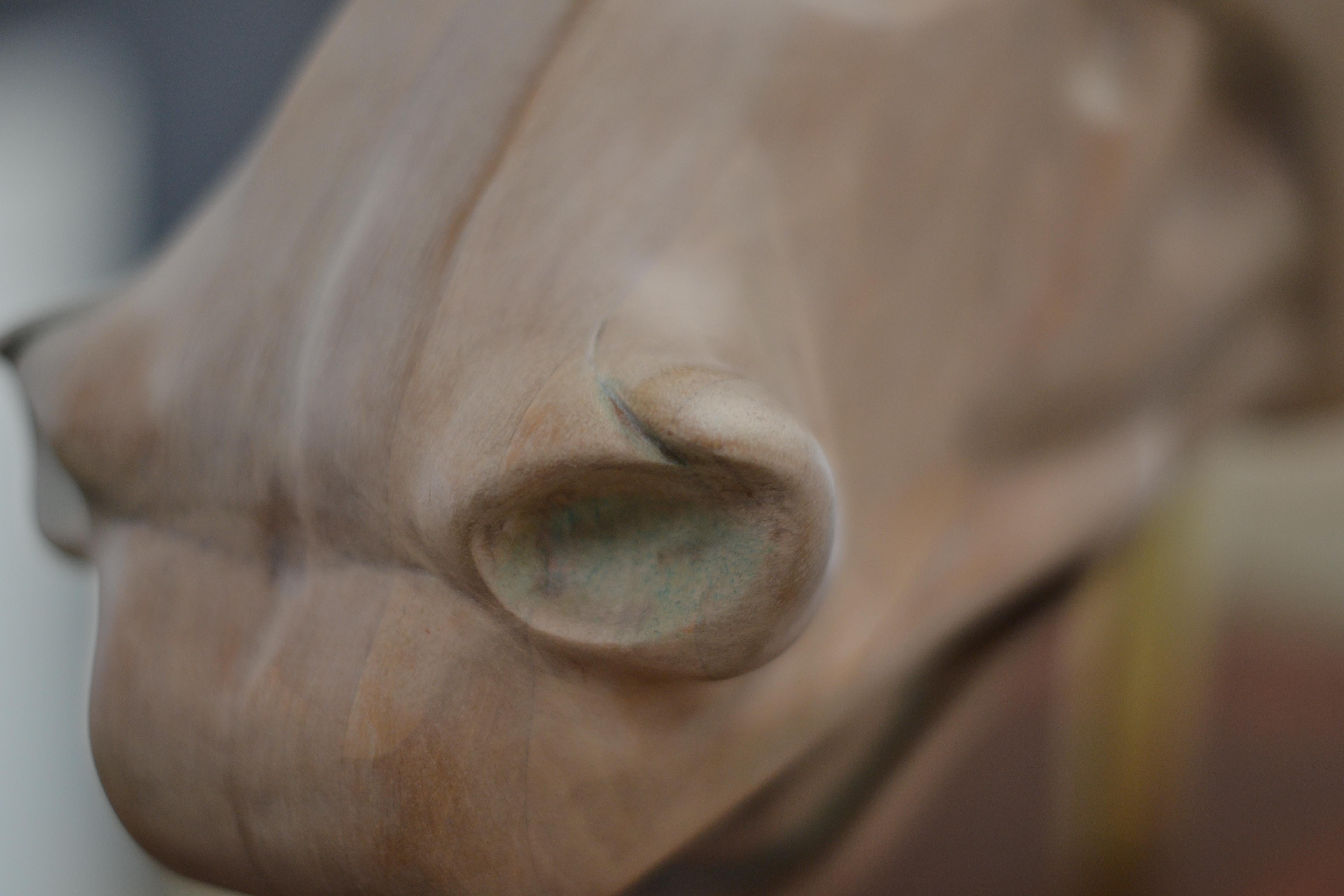 Testa di cavallo di Selene - Jos de Wit, scultura in legno contemporanea del XXI secolo in vendita 5