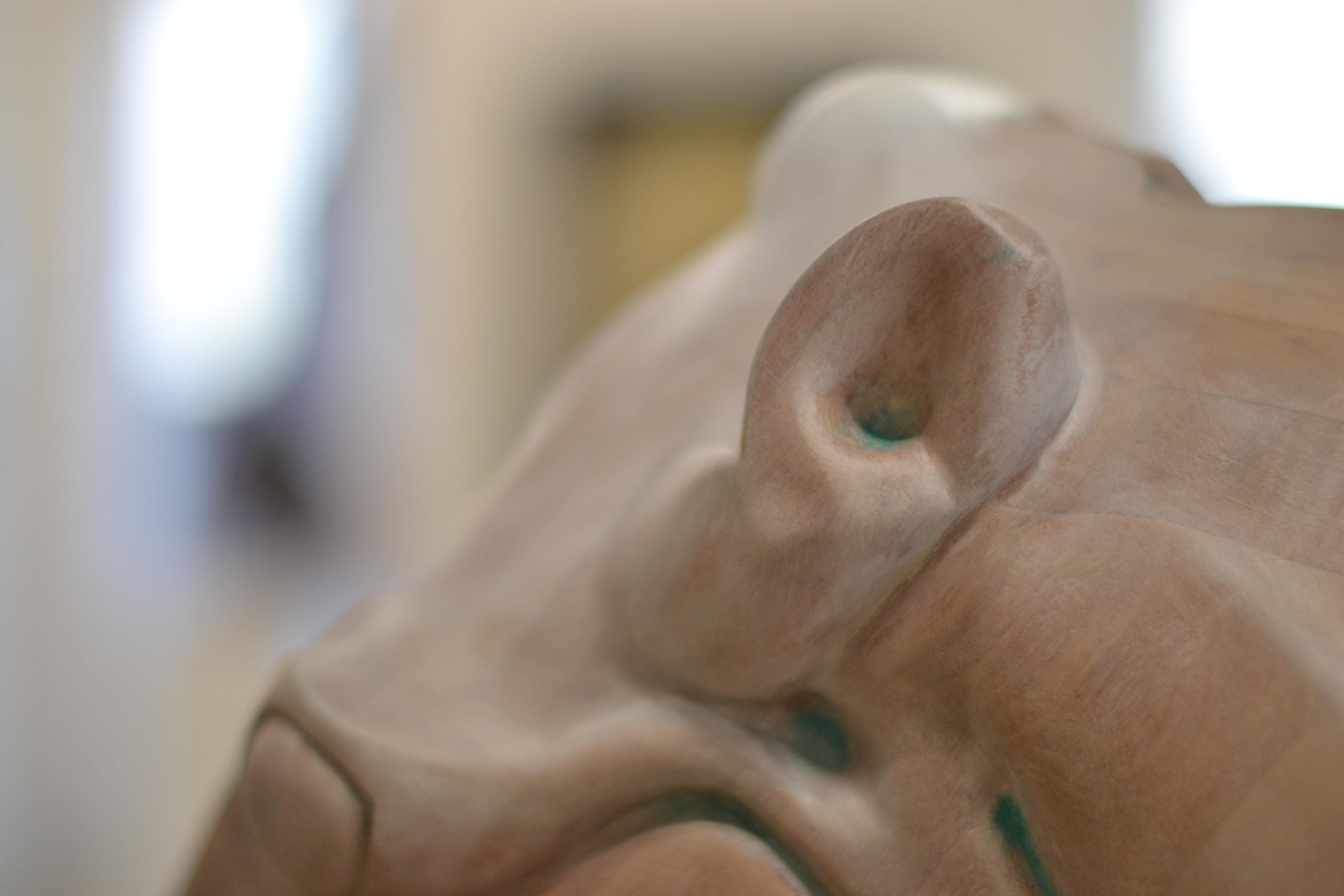 Horse Head of Selene - Jos de Wit, 21st Century Contemporary Wooden Sculpture For Sale 7