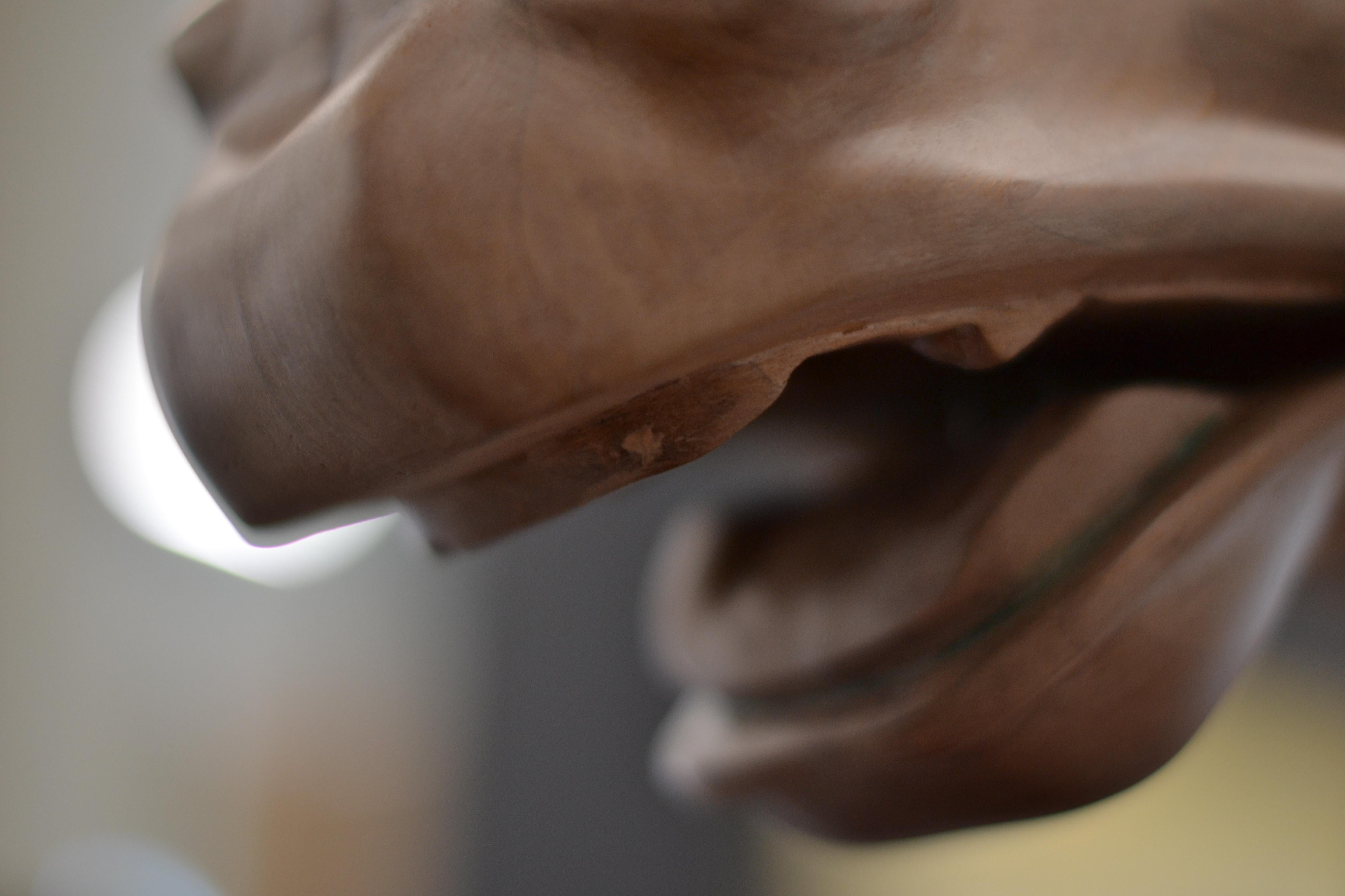 Testa di cavallo di Selene - Jos de Wit, scultura in legno contemporanea del XXI secolo in vendita 8