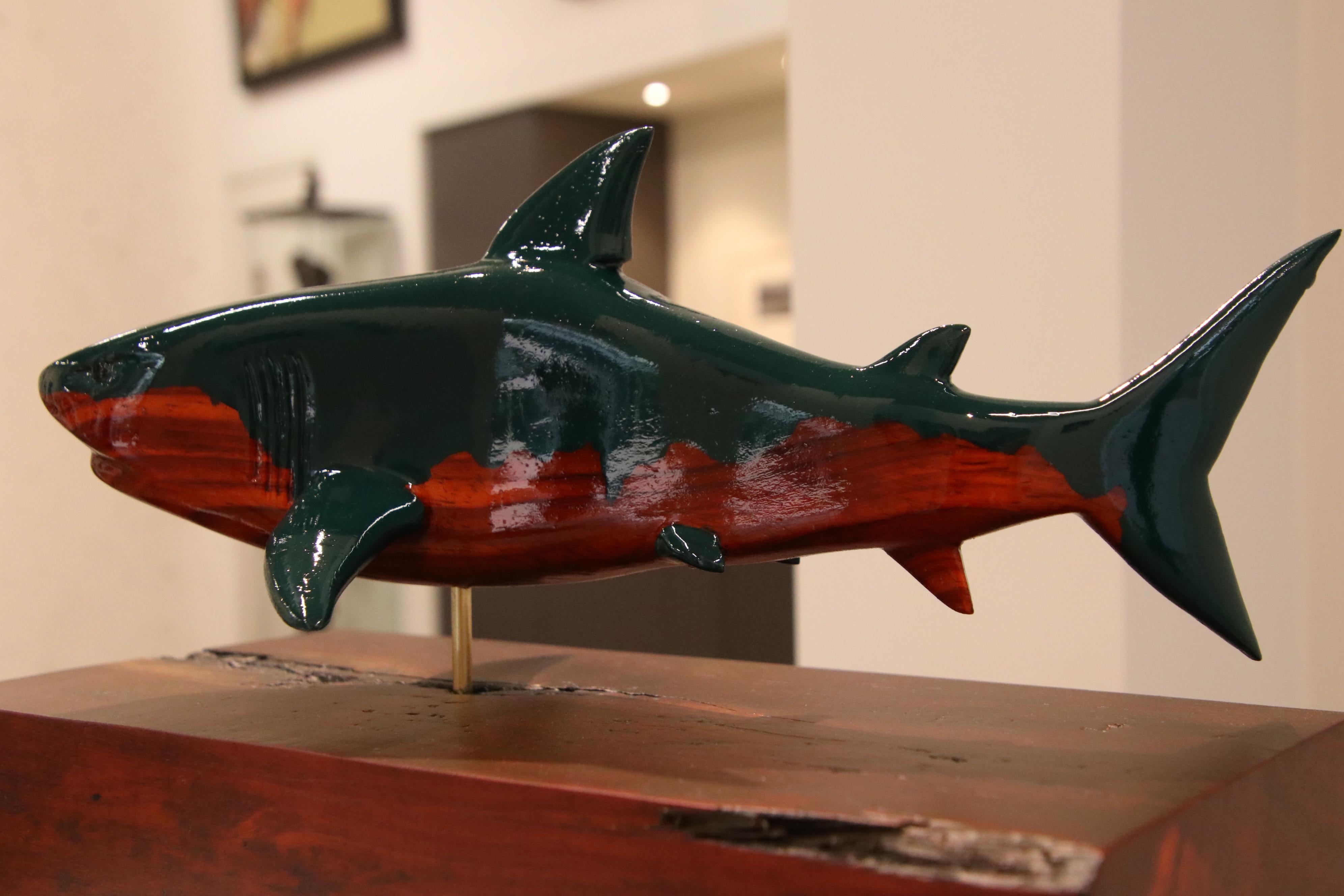 Shark- 21st Century figurative wooden animal sculpture of a big shark - Sculpture by Jos de Wit