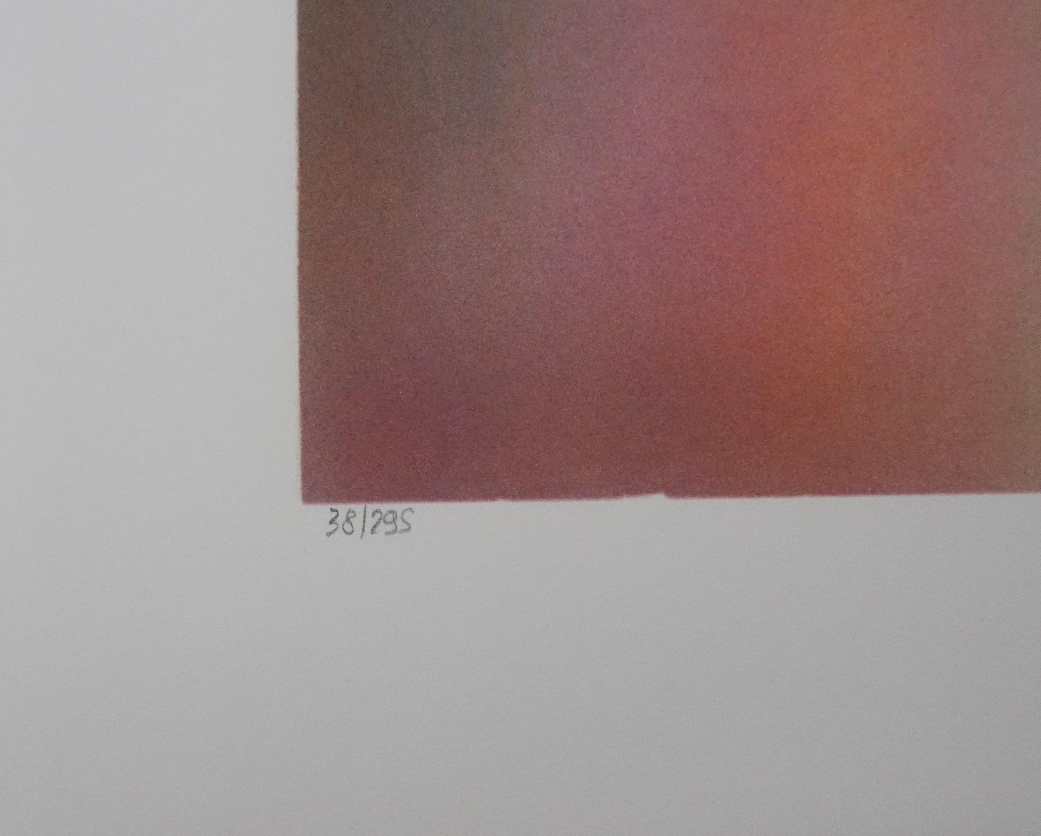 The Lake House - Original Handsigned Lithograph For Sale 2