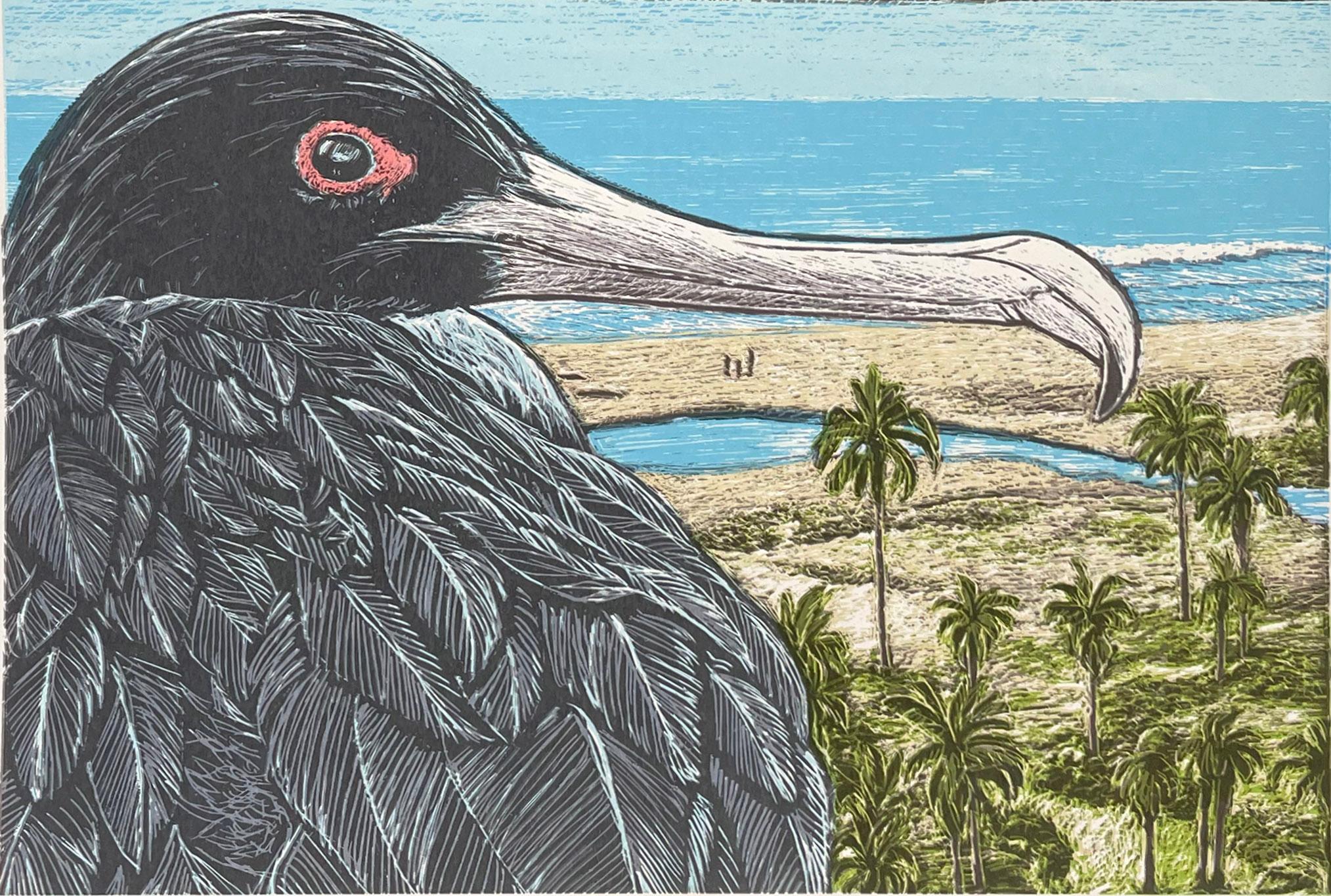Turtle Release + FrIgate Bird Above Playa las Palmas - Contemporary Print by Jos Sances