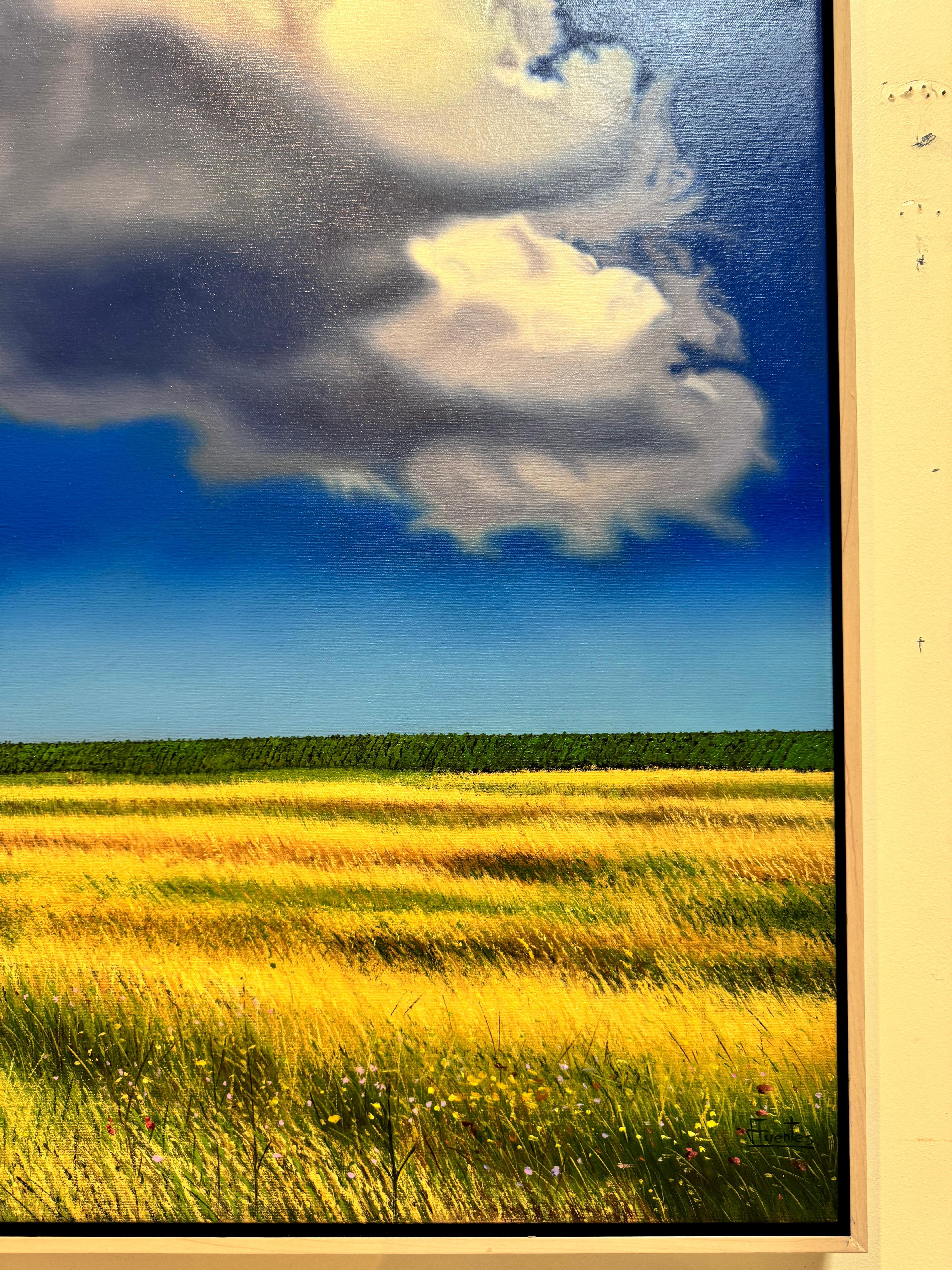 Nuvola curiosa - Painting di Jose Antonio Fuentes 