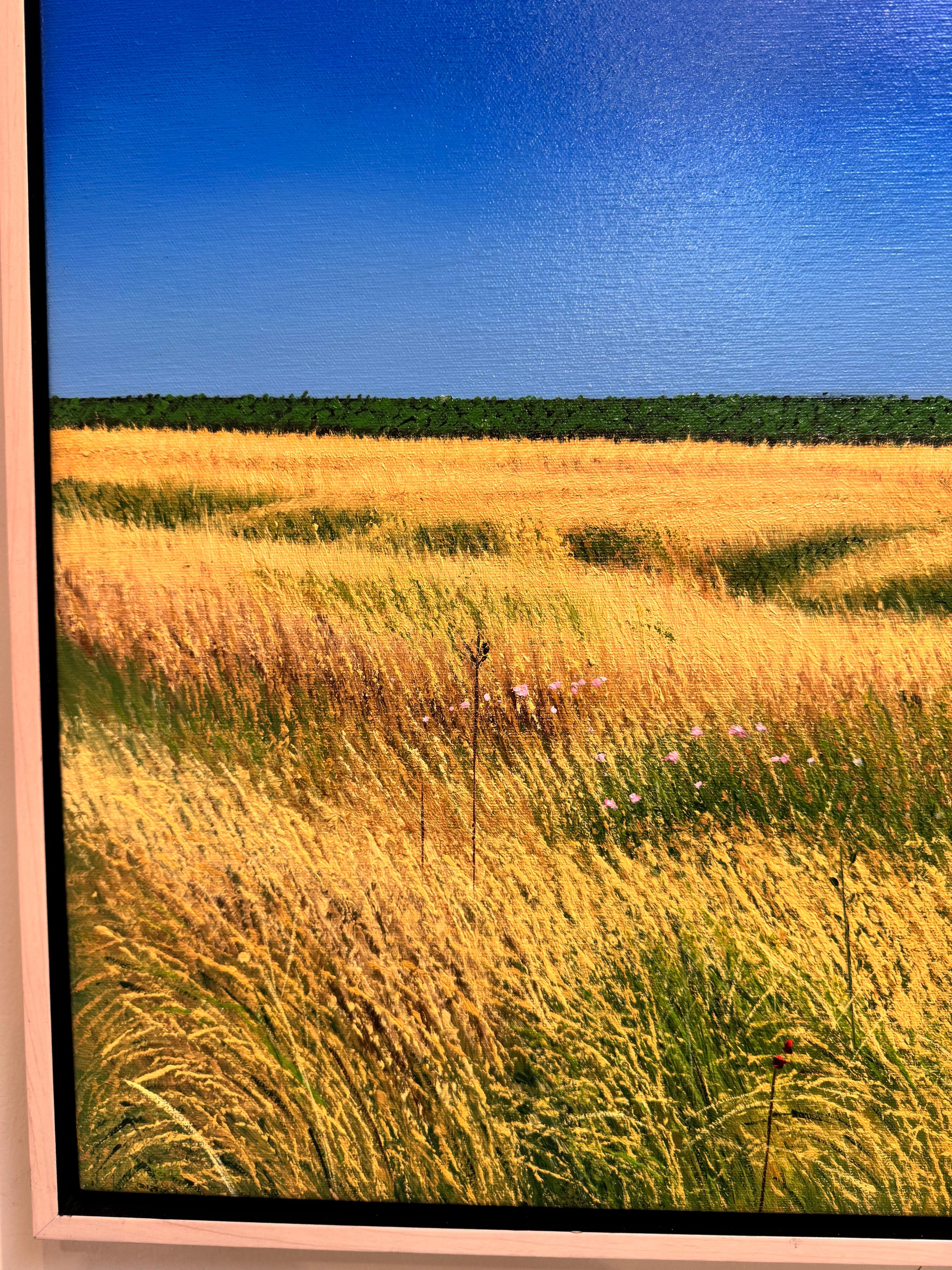 Nuvola curiosa - Painting Fotorealista di Jose Antonio Fuentes 