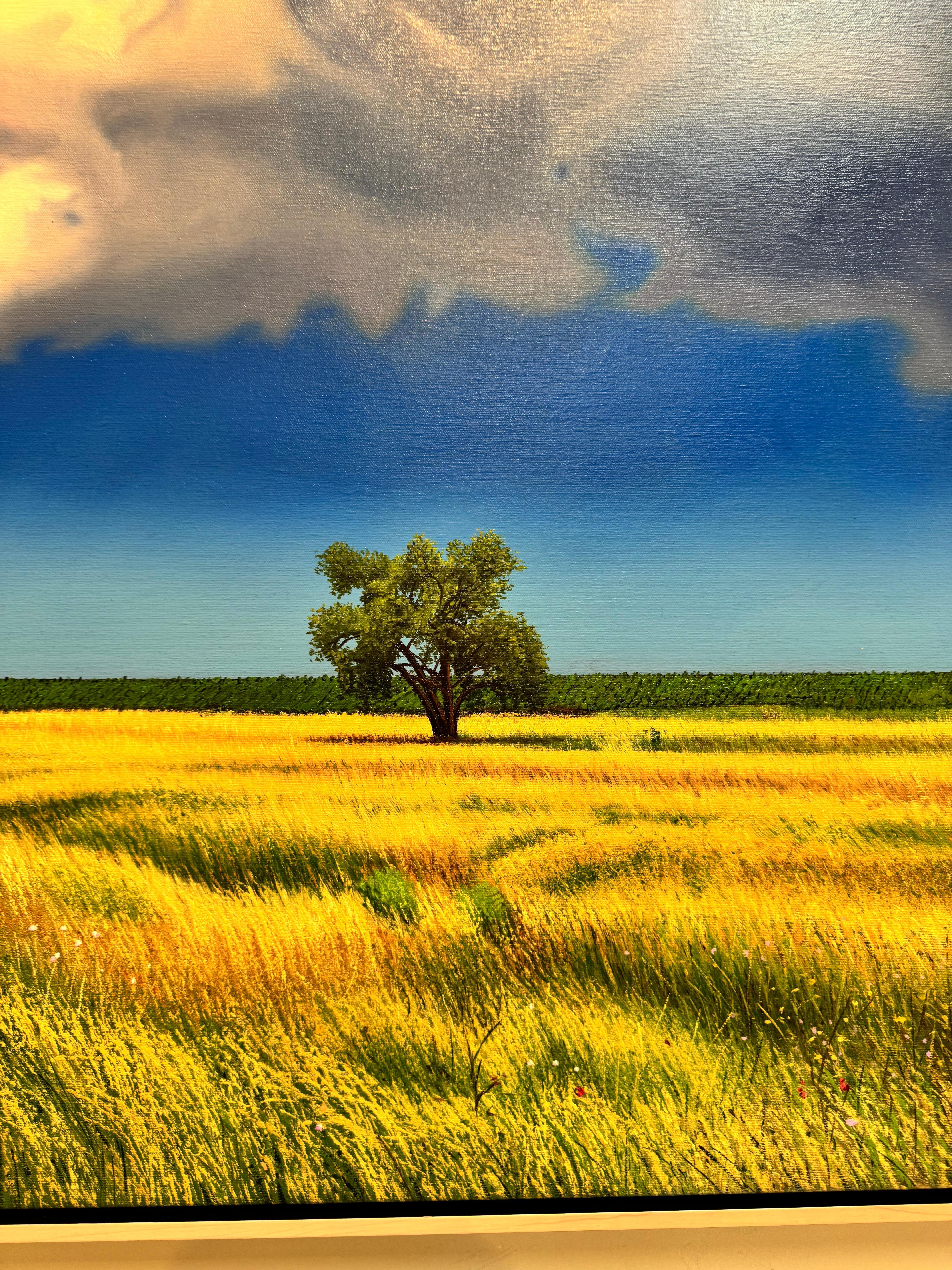 Nuvola curiosa - Landscape Painting Nero di Jose Antonio Fuentes 