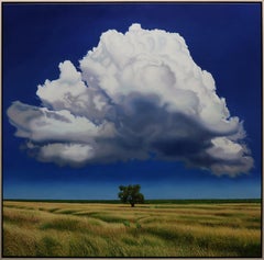Nube Curiosa
