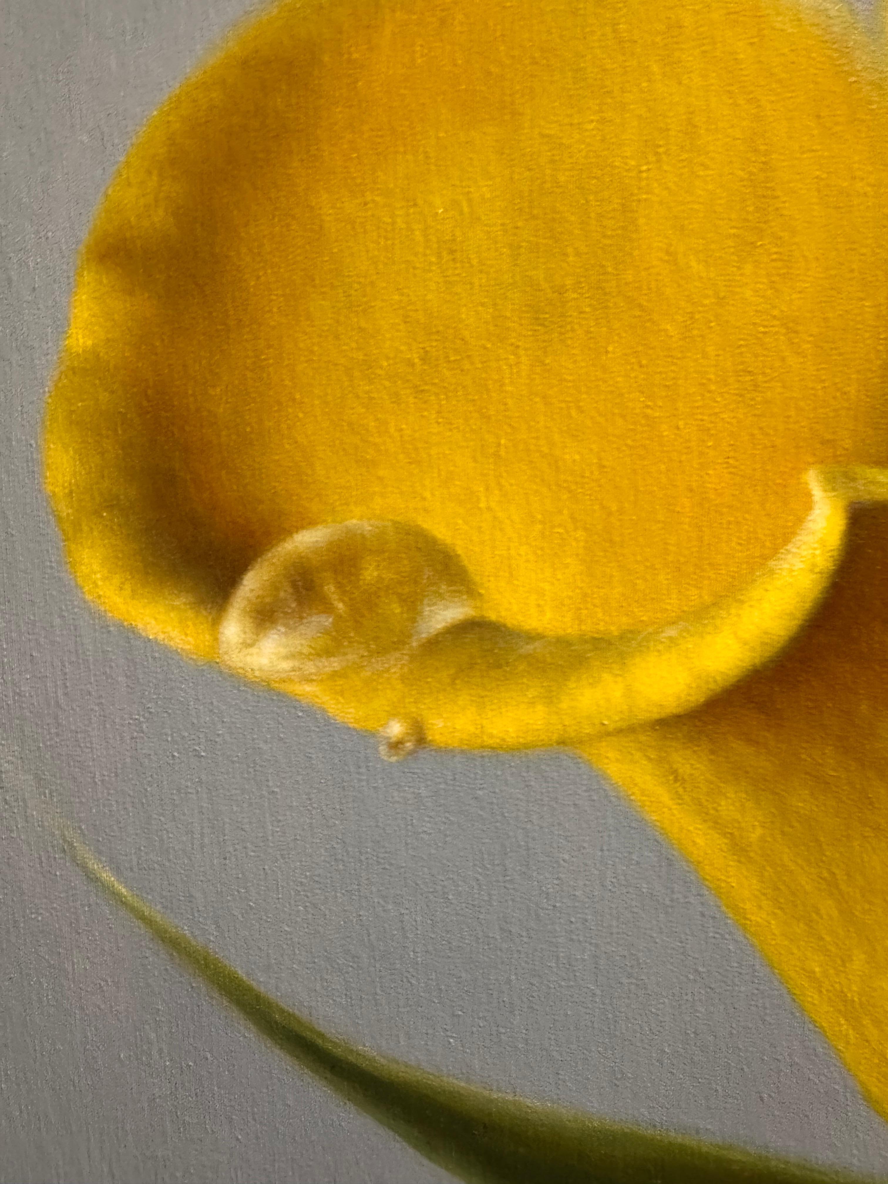 Jaune soleil en vente 1