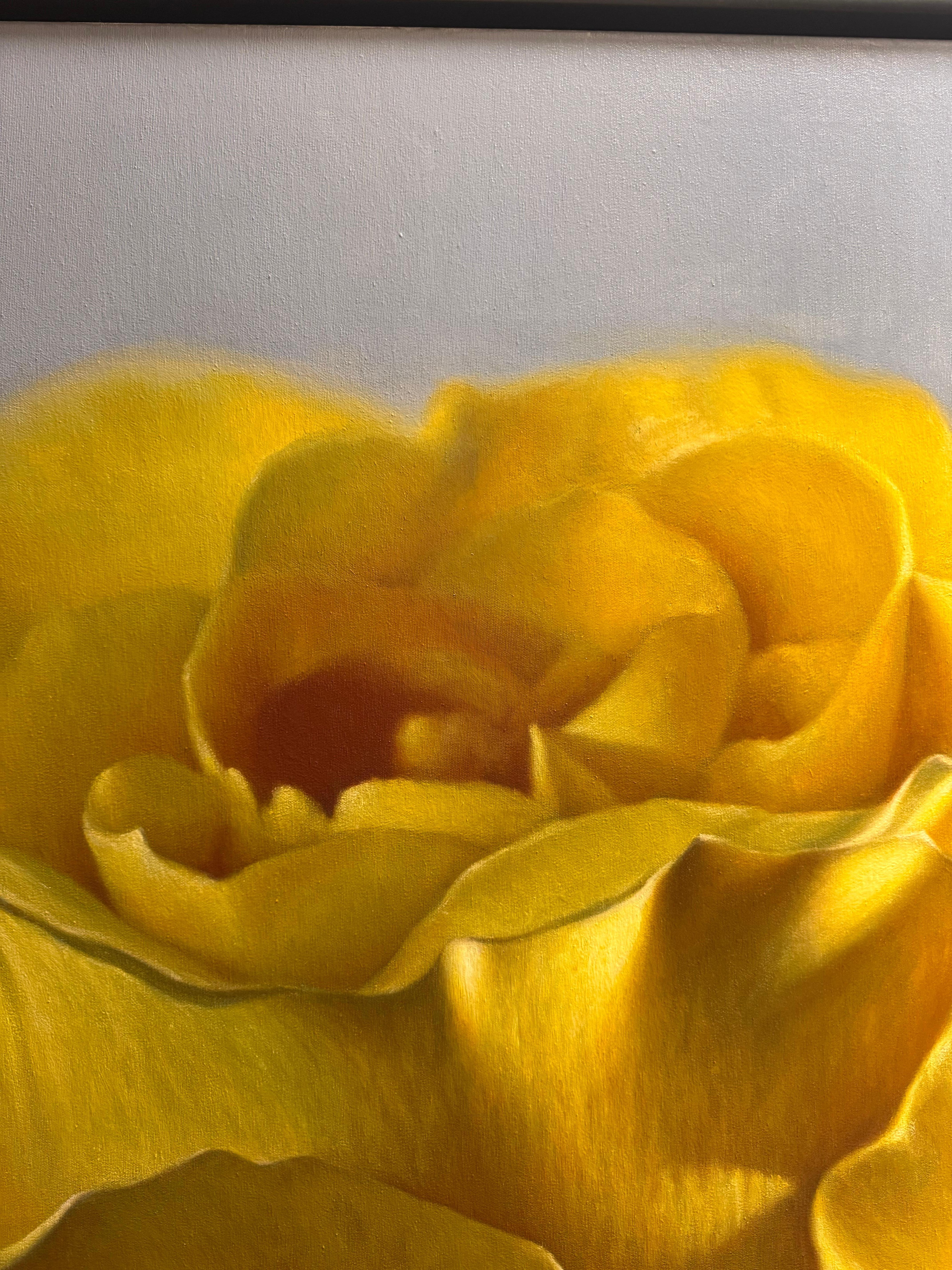 Jaune soleil en vente 2