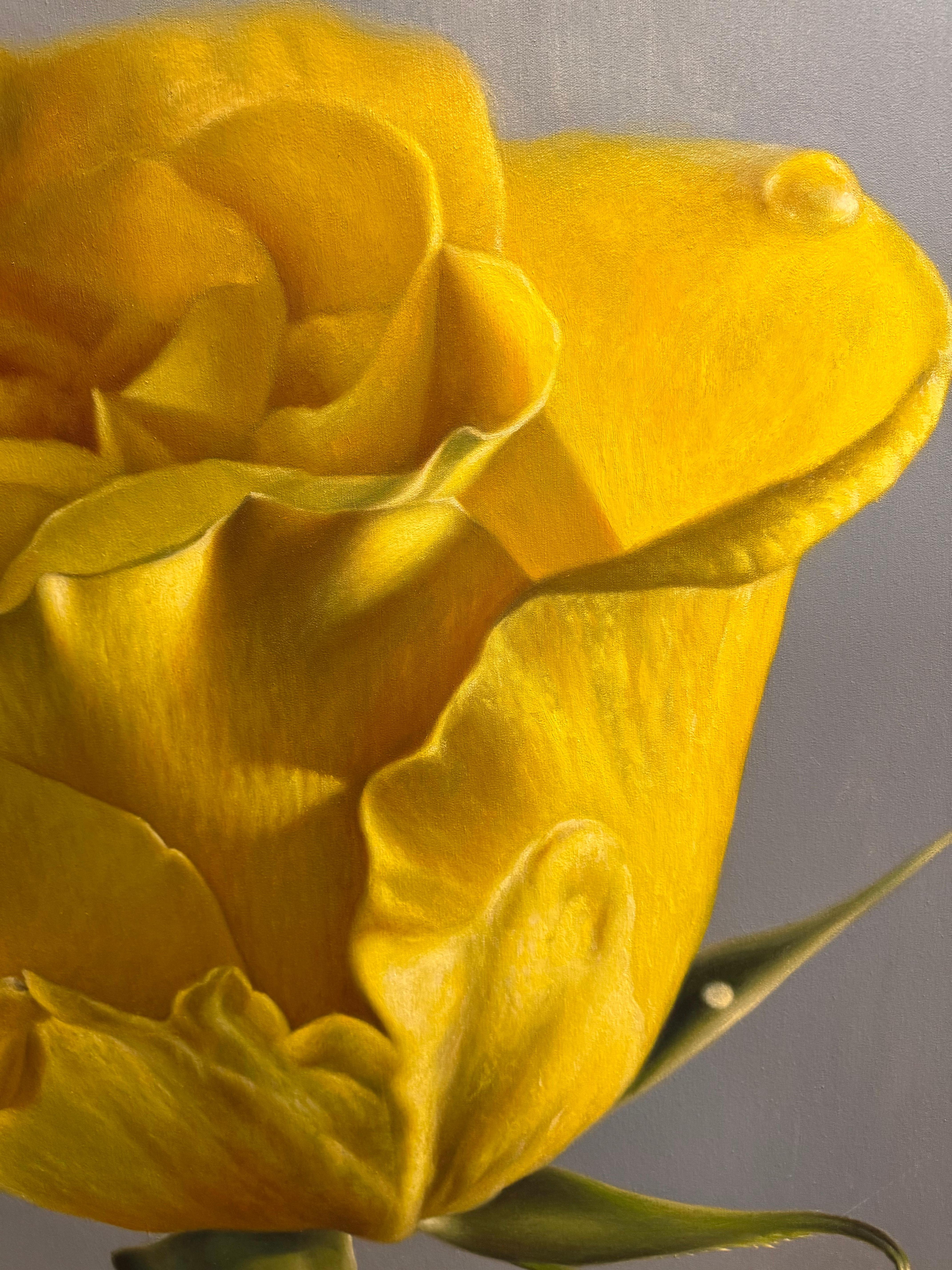 Jaune soleil en vente 3