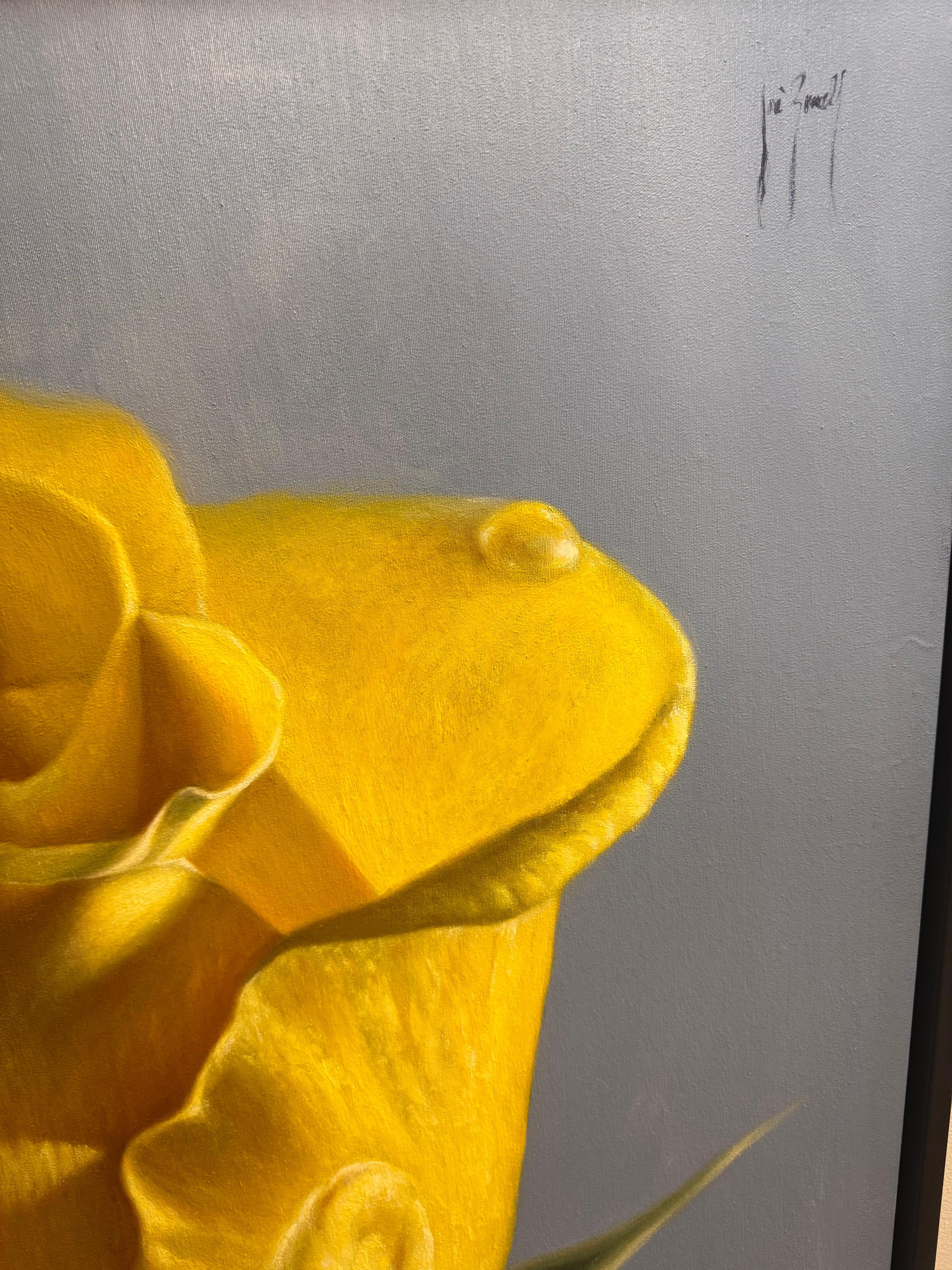 Jaune soleil en vente 4