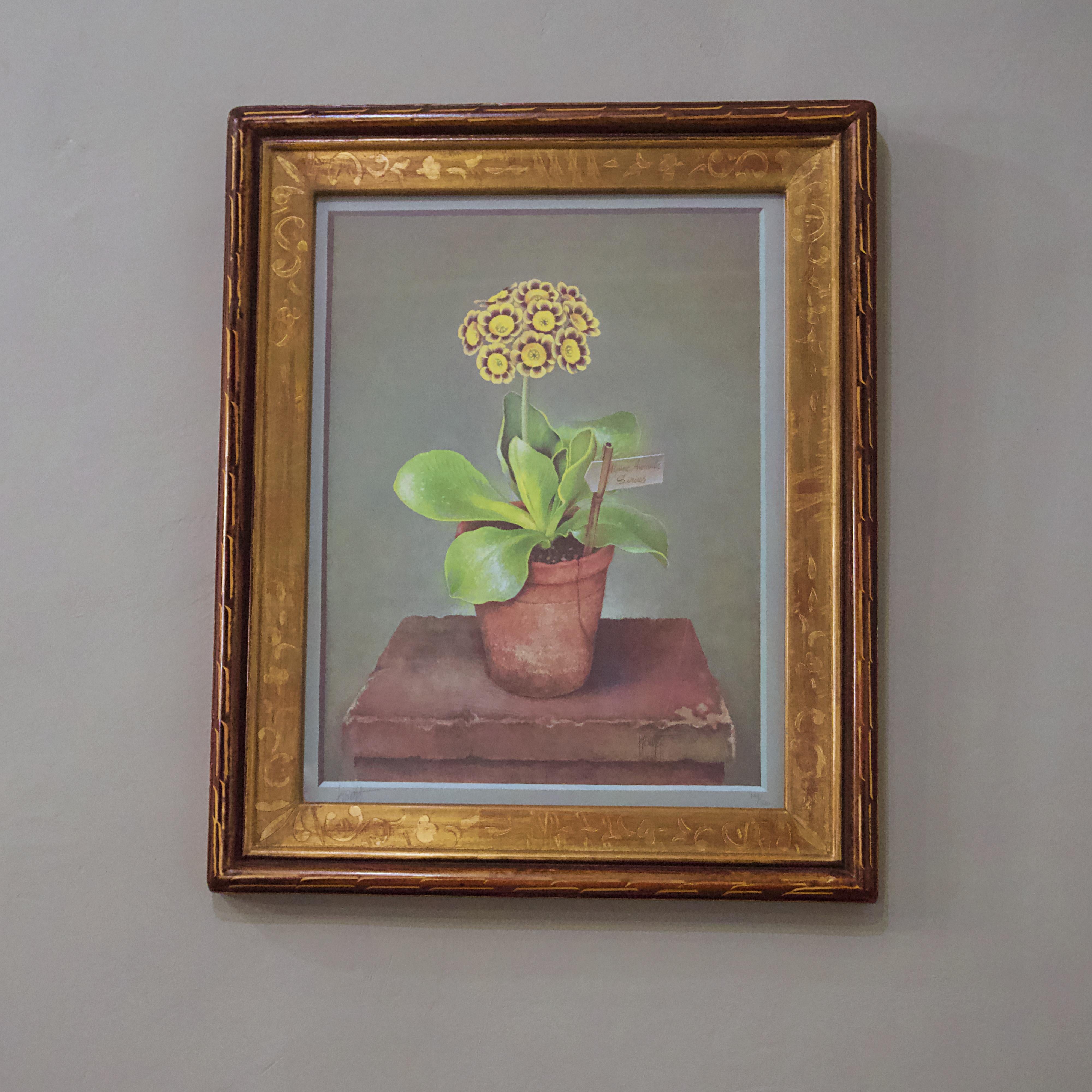 Jose Escofet, Still Prints Life of Potted Plants In Good Condition In New York, NY