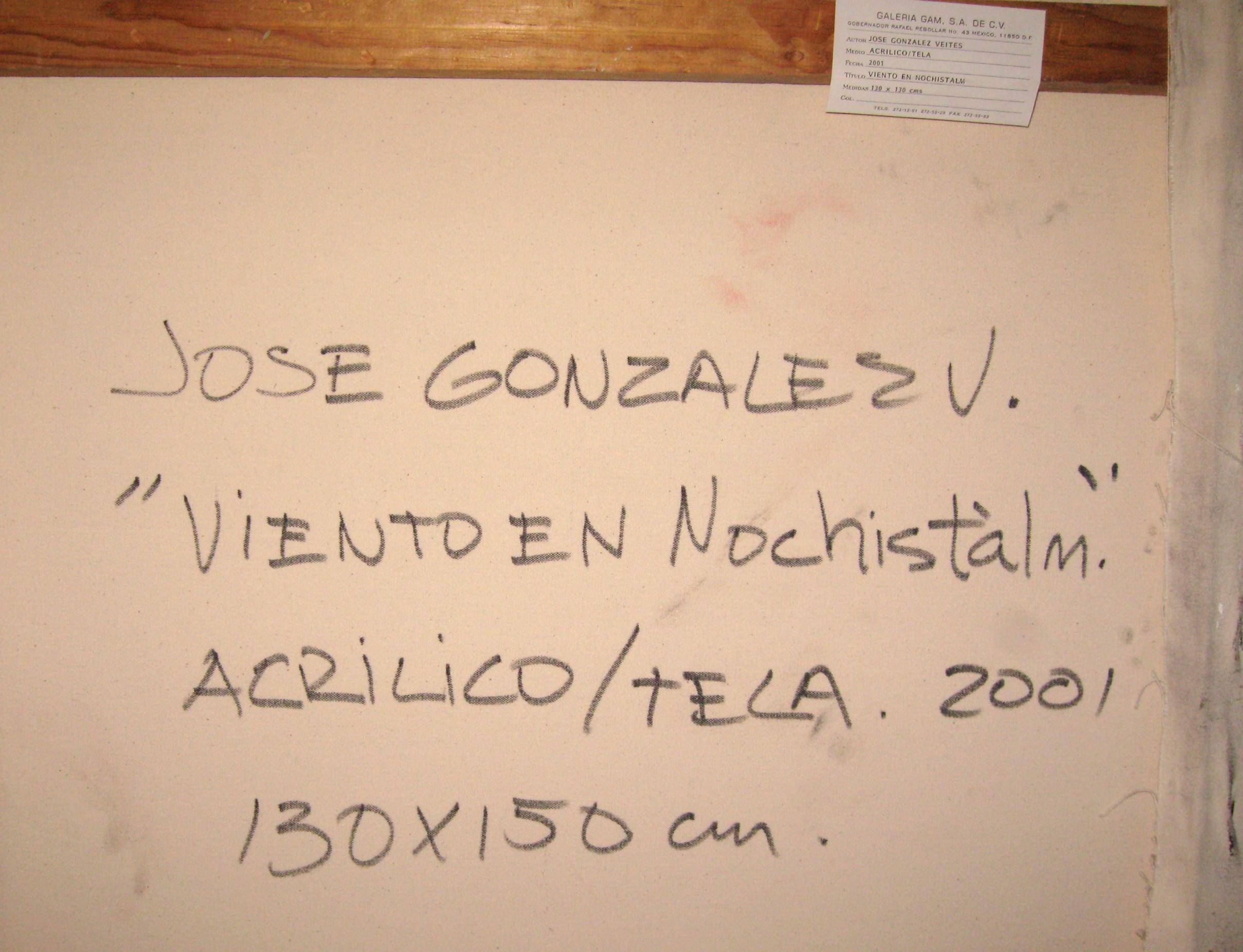 José González Veites 