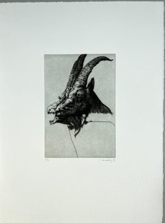 Spanish 1986 signed limited edition original art print etching 15x11 in.