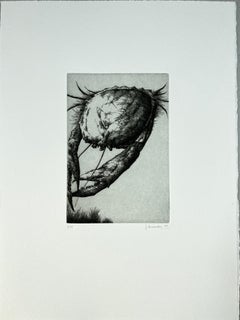 Spanish 1986 signed limited edition original art print etching 15x11 in.