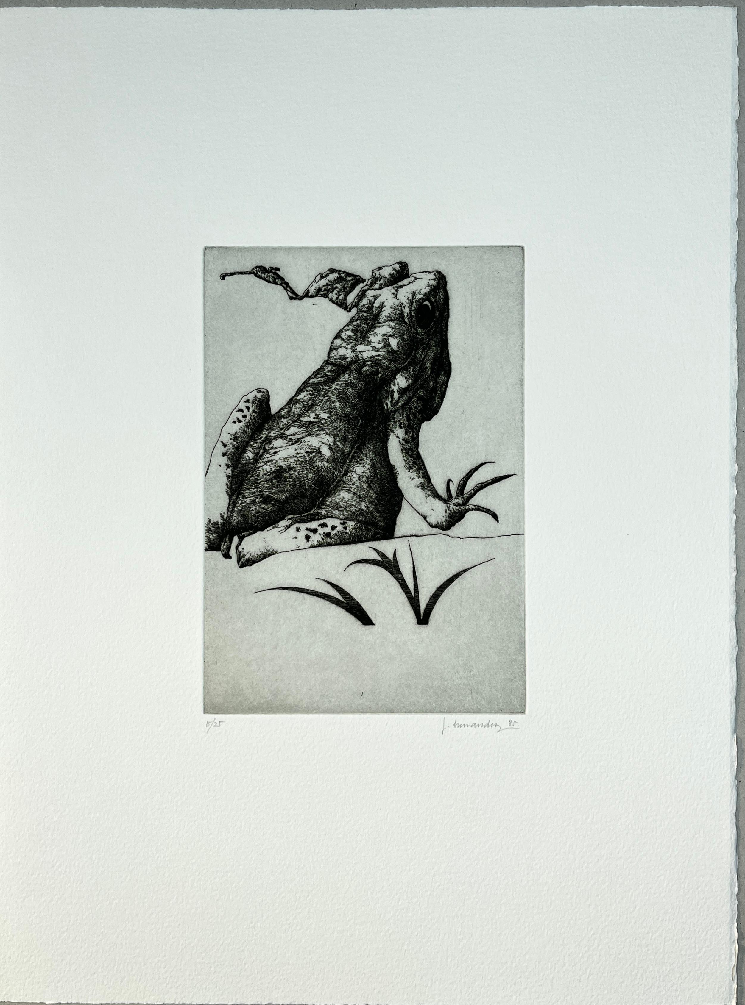 Spanish 1986 signed limited edition original art print etching 15x11 in. - Print by Jose Hernandez Muñoz