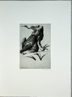 Vintage Spanish 1986 signed limited edition original art print etching 15x11 in.