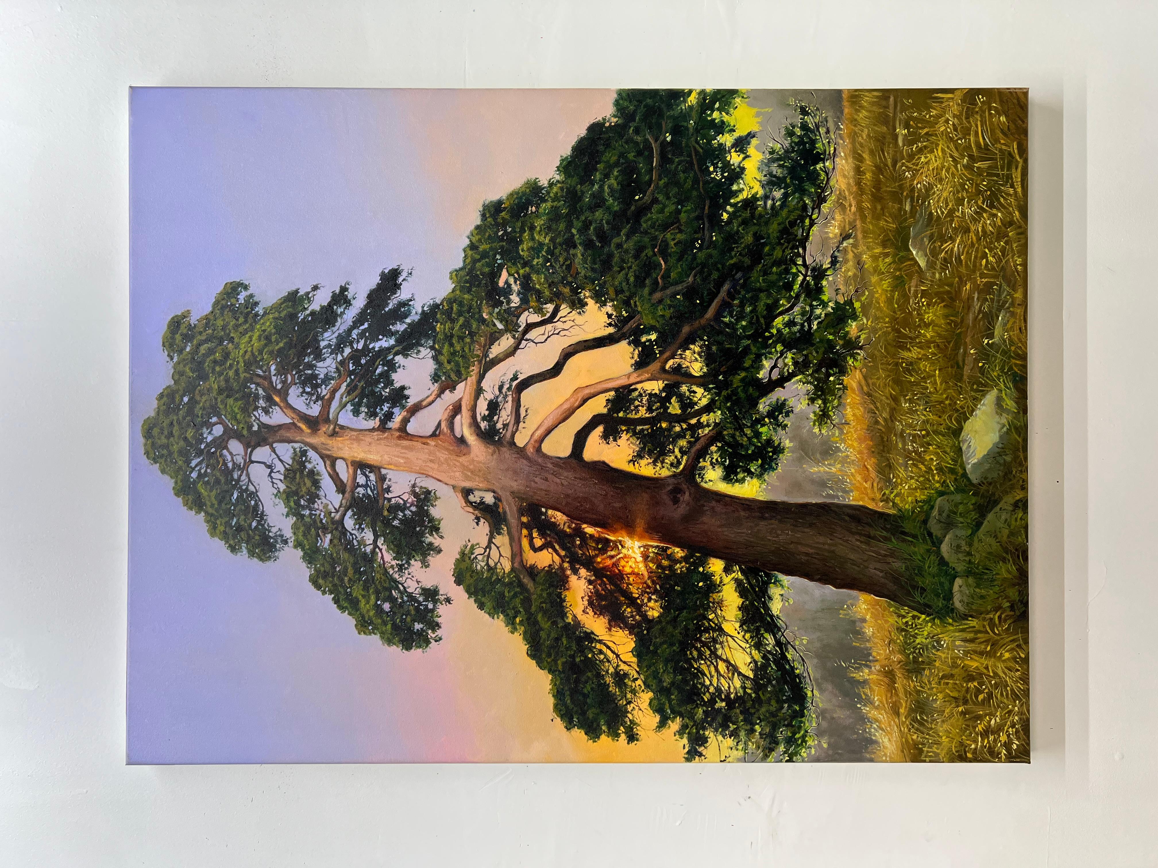Pine, Oil Painting - Realist Art by Jose Luis Bermudez