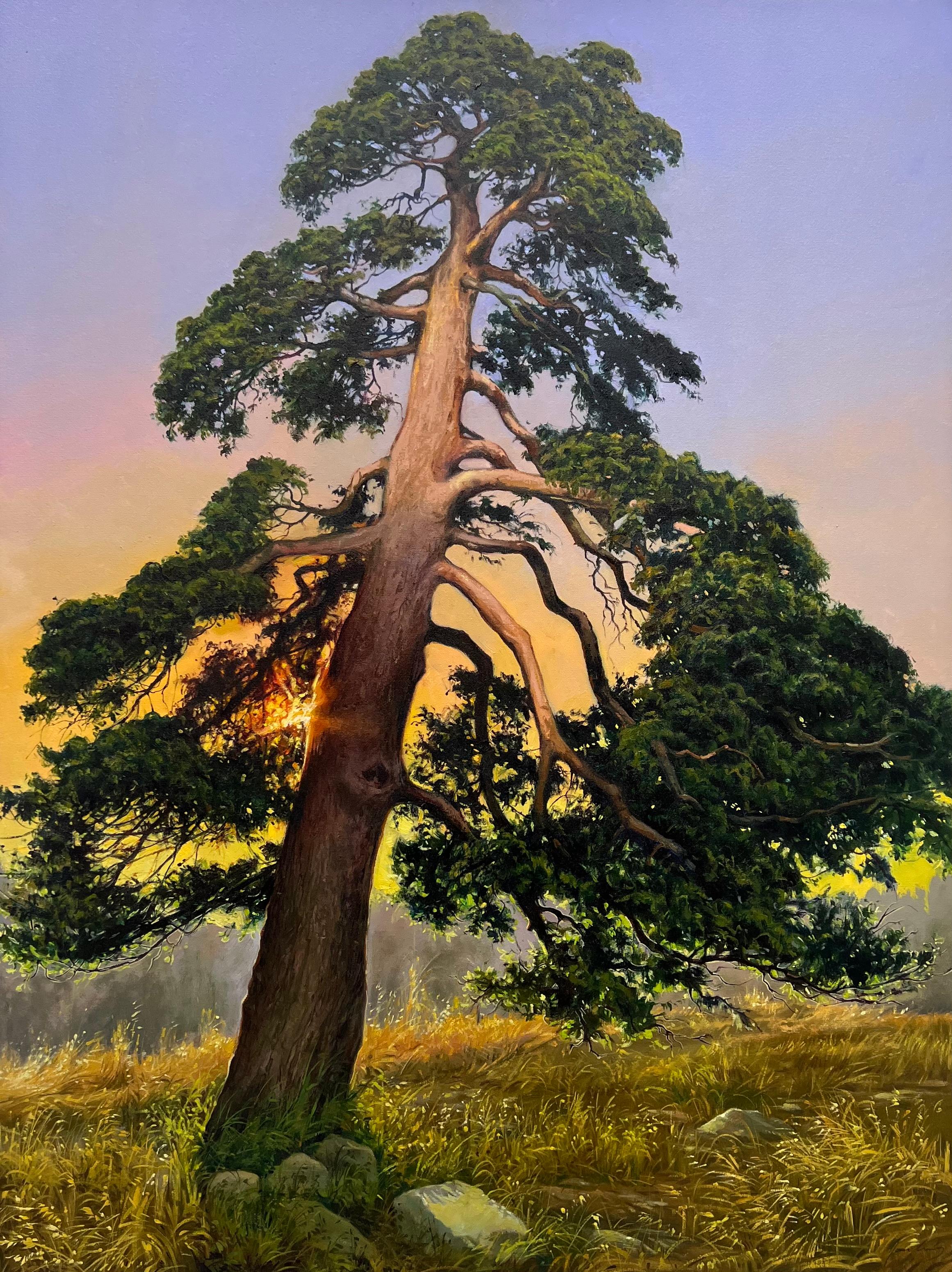Pine, Oil Painting - Art by Jose Luis Bermudez
