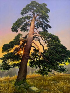 Pino, Pittura a olio
