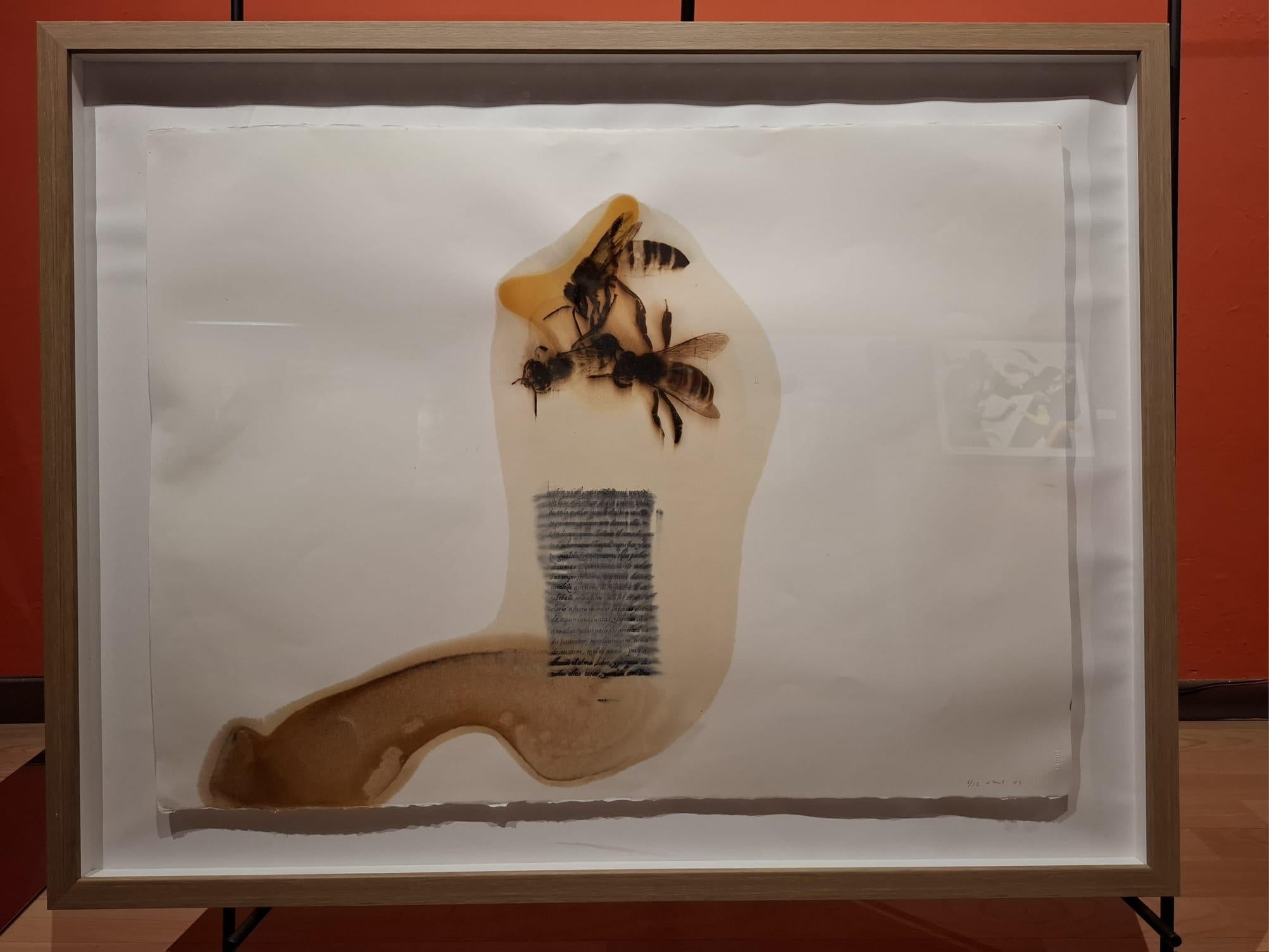 Jose Maria Sicilia Abstract Print - Manuscrito de Sanlúcar de Barrameda VI