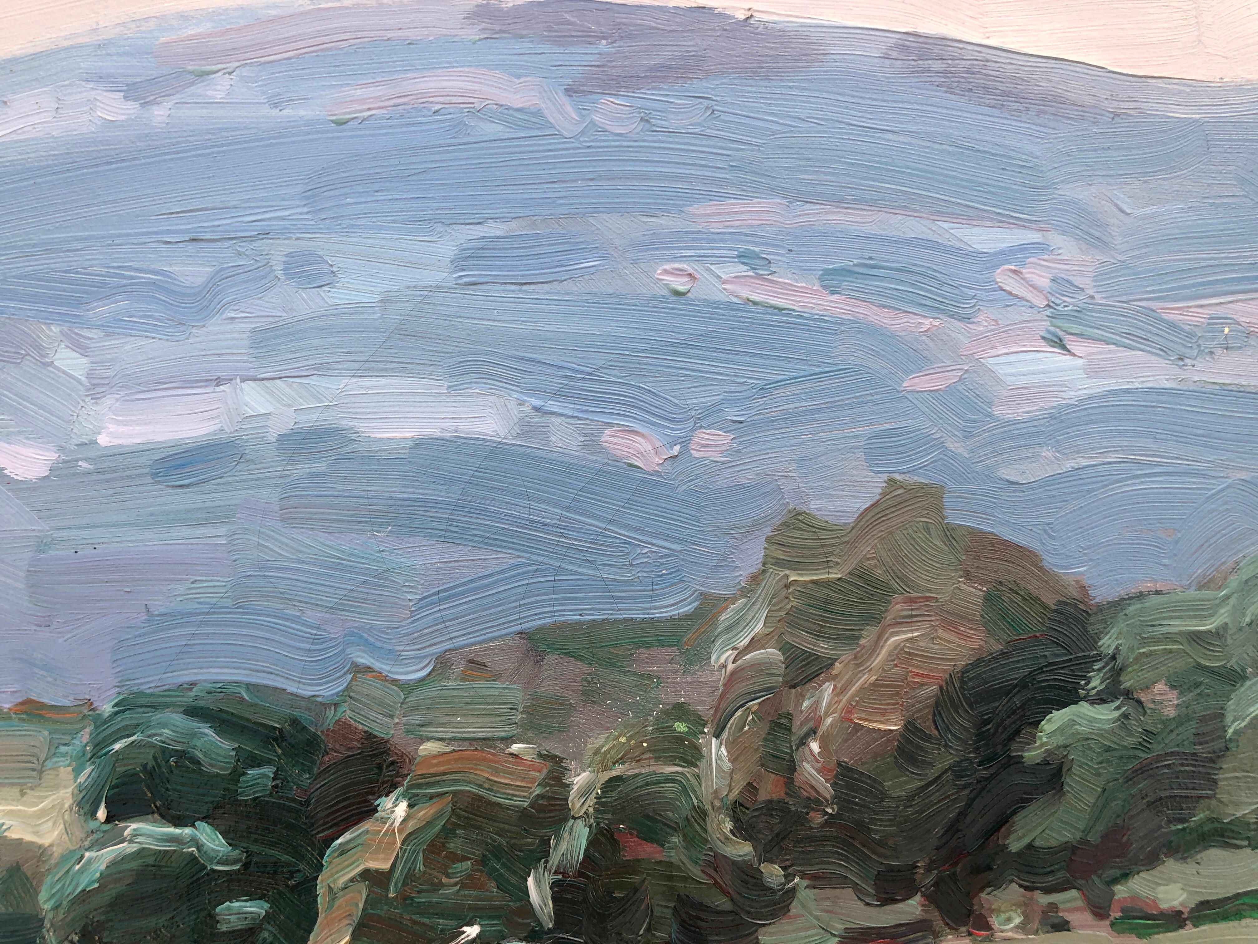 Canyelles Sitges Spain landscape original oil on canvas painting - Gray Landscape Painting by José María Vila Cañellas
