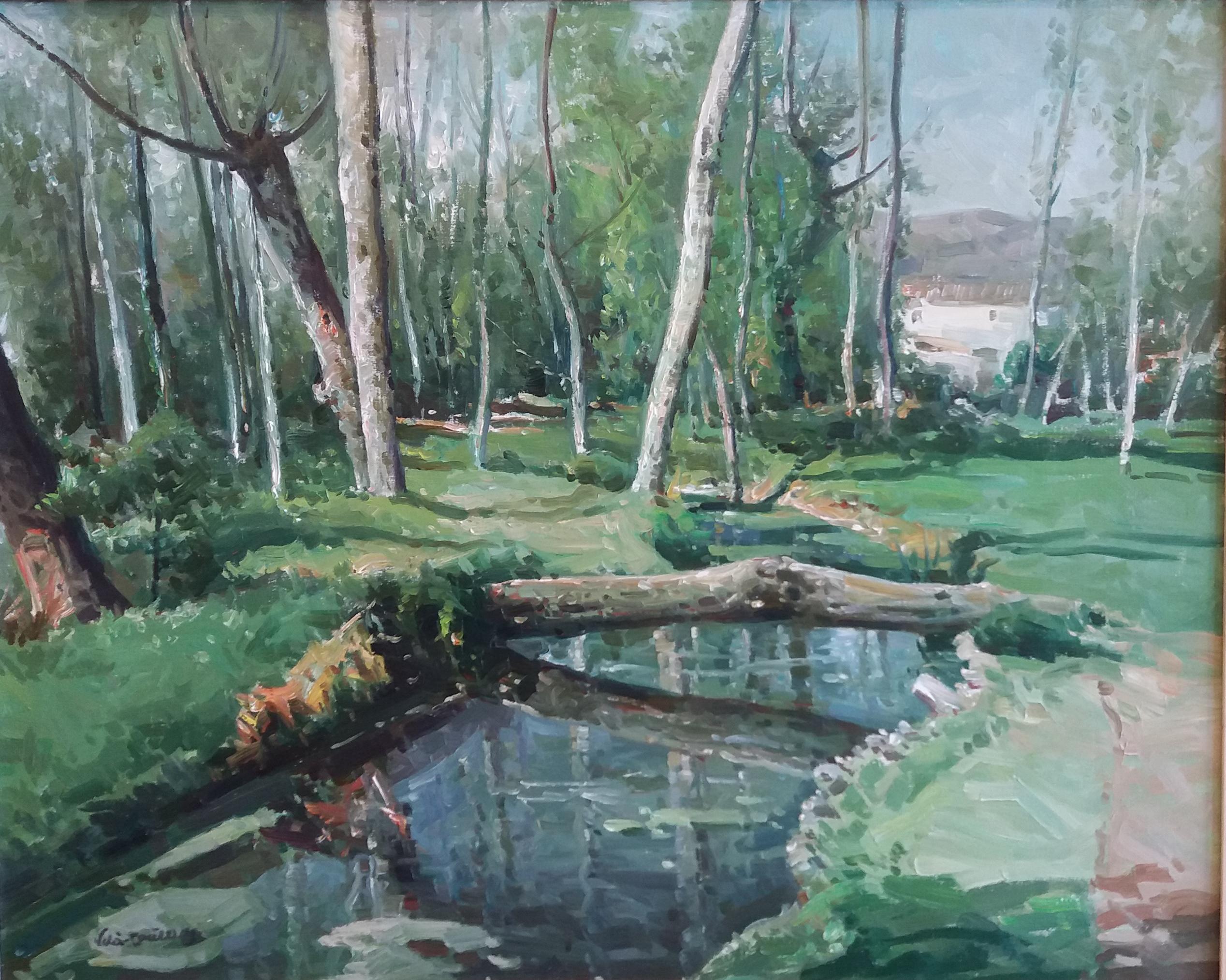 Vila Cañellas 20 River Trees Olot  Landscape. original oil canvas painting - Black Landscape Painting by José María Vila Cañellas
