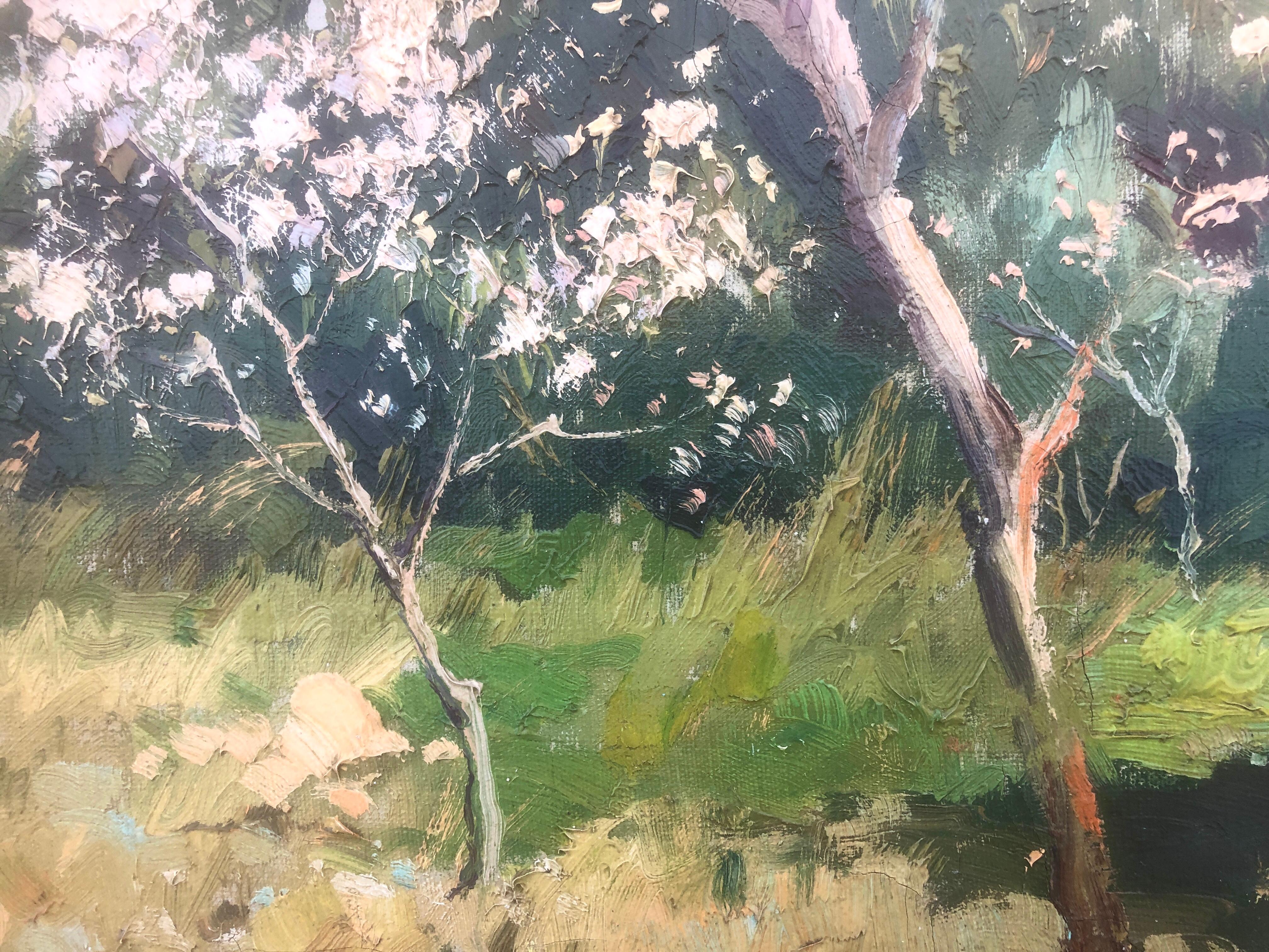 Almond Bäume in Blüten auf Mallorca, Öl auf Leinwand, Gemälde, Öl auf Leinwand, Spanien, Landschaft, spanisch (Impressionismus), Painting, von Jose Miret Aleu