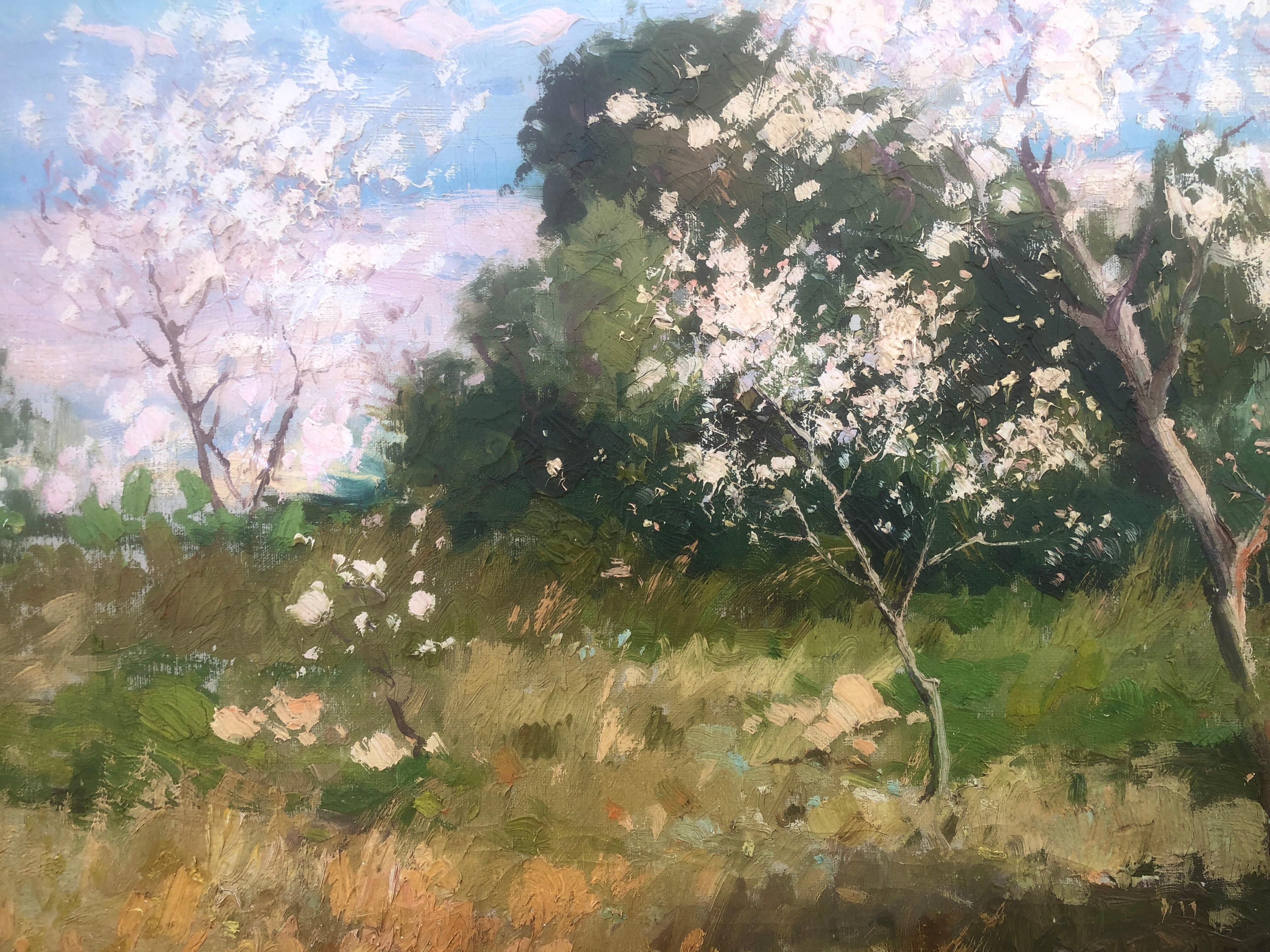 Almond Bäume in Blüten auf Mallorca, Öl auf Leinwand, Gemälde, Öl auf Leinwand, Spanien, Landschaft, spanisch im Angebot 3