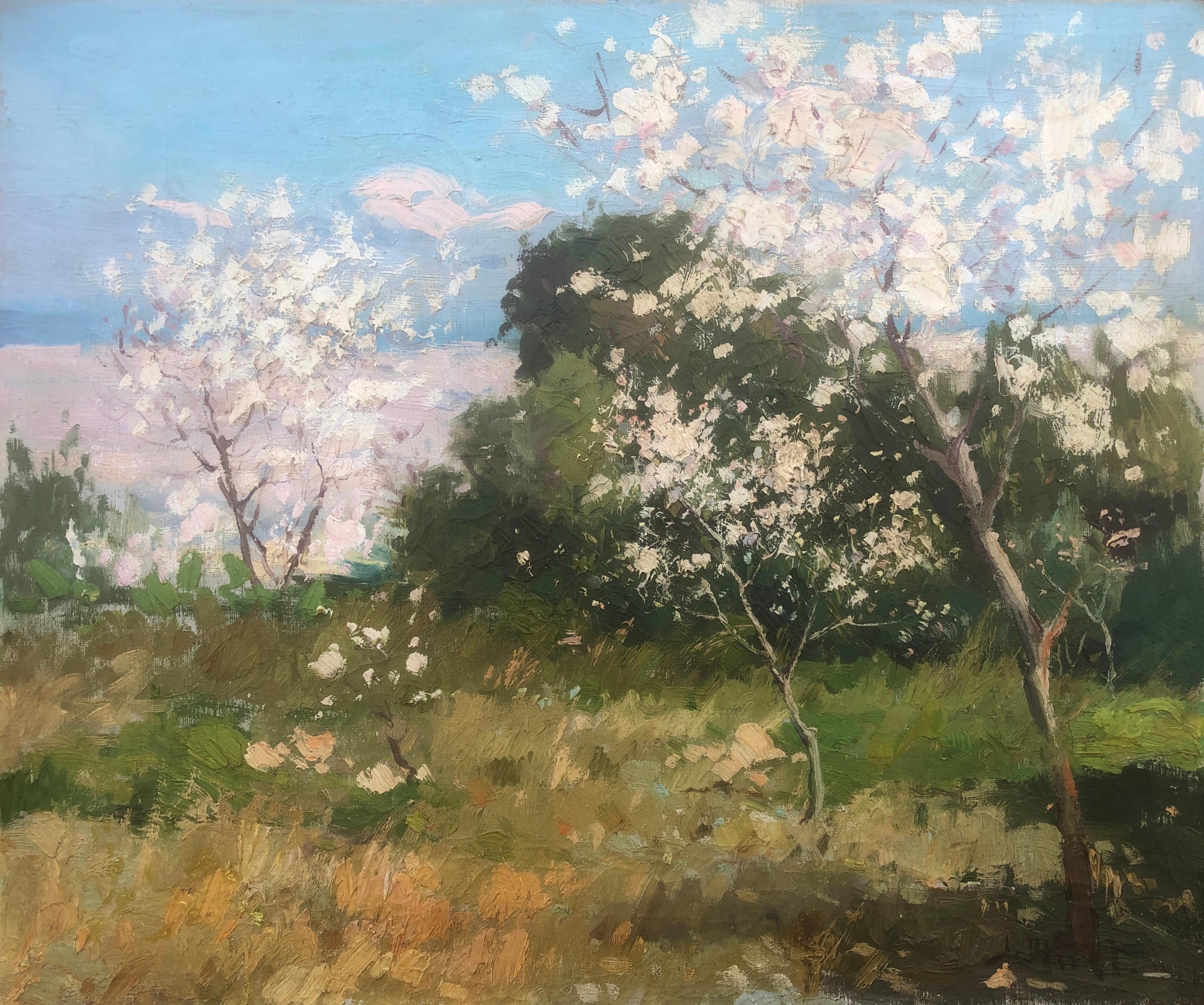 Jose Miret Aleu Landscape Painting – Almond Bäume in Blüten auf Mallorca, Öl auf Leinwand, Gemälde, Öl auf Leinwand, Spanien, Landschaft, spanisch