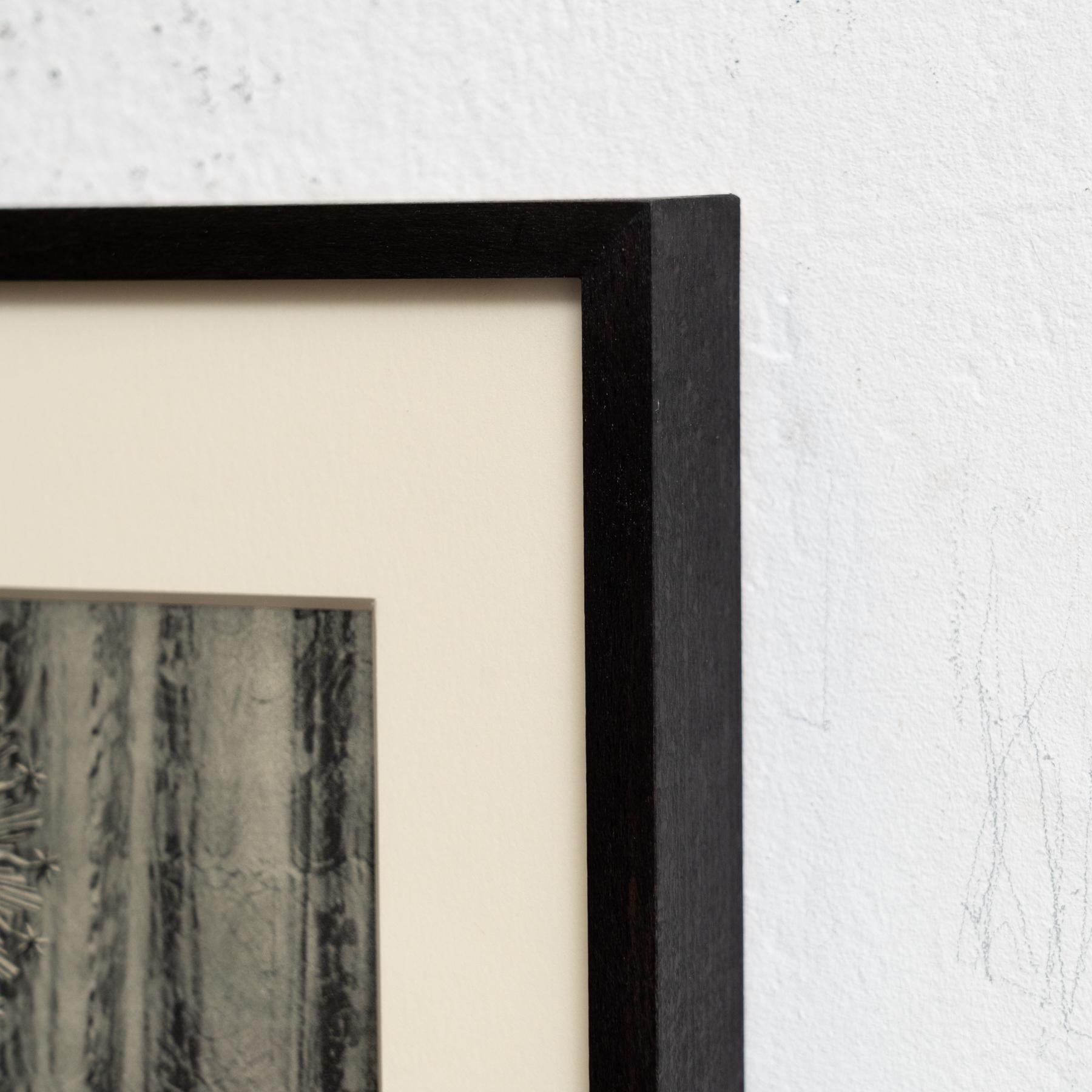 Jose Ortiz Echagüe's Vision: Spanish Heritage in Photogravure, circa 1930 For Sale 2