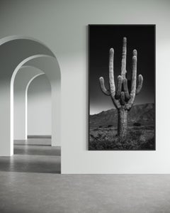 SER*ES V by Jose Pereyra Lucena, Landscape Photography (cactus), 2021