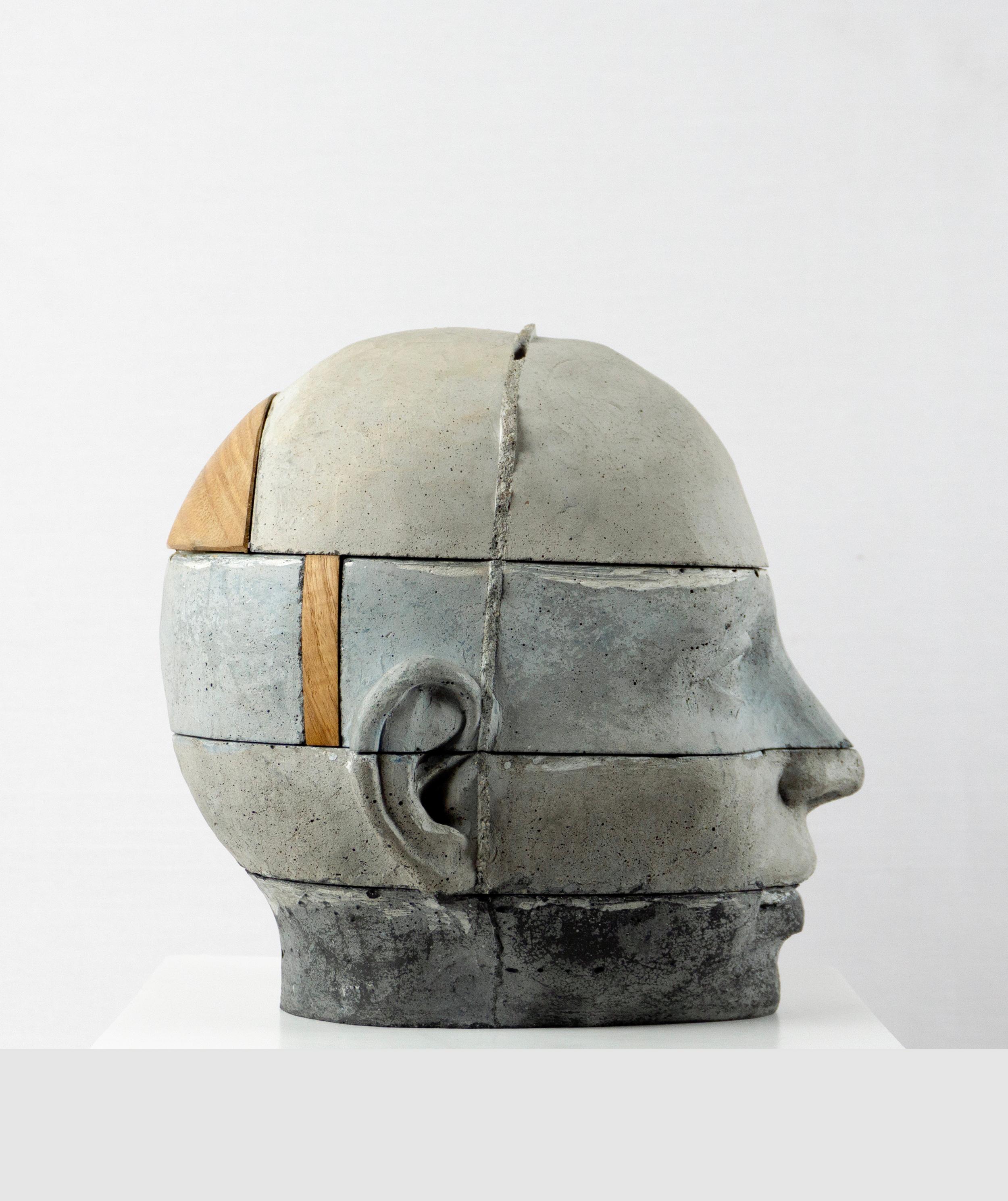 This architectural layered cement head sculpture presents one of the most direct expressions of structural stratification within the Proyectos subseries. In Project 16, the head is built through horizontal slices that articulate the face as a