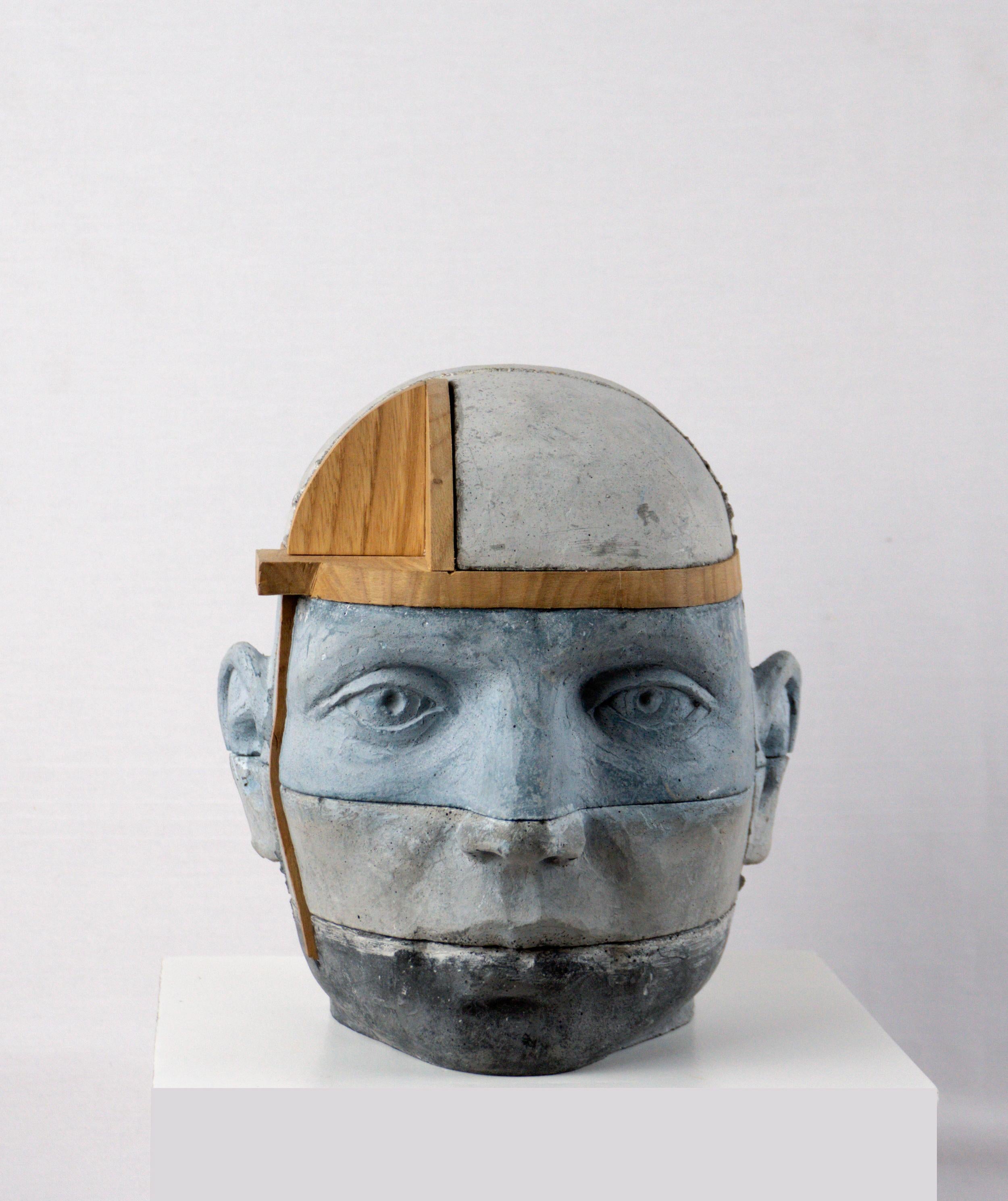 Architectural Layered Cement Head with Chestnut Wood Structure Project 19 For Sale 1