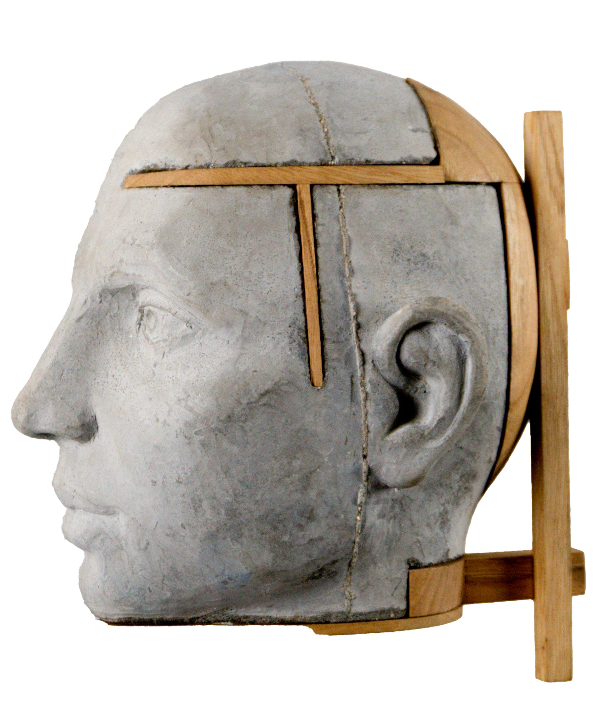 Architectural Wall Cement Head Sculpture with Chestnut Wood Structure Project 22
