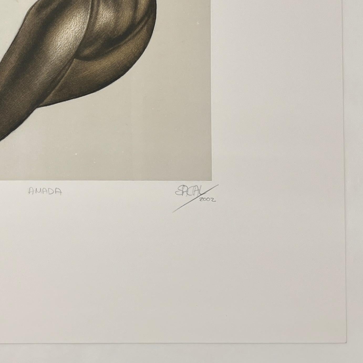 Jose Sacal (Mexico, 1944-2018)
'Amada', 2002
mezzotint on paper
22.1 x 18.4 in. (56 x 46.5 cm.)
Edition of 25
ID: SAC-101
Hand-signed by author