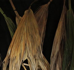 Sin título I. Autorretrato.  Fotografía en color de edición limitada