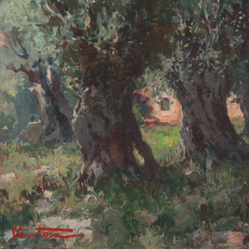 'Olive Groves, Mallorca', San Jorge School, Barcelona, Catalonia, Majorca - Impressionist Painting by Jose Ventosa Domenech