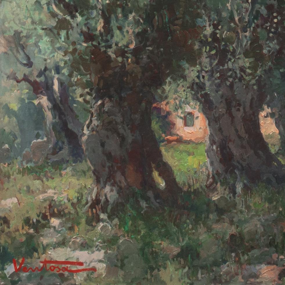 «live Groves, Mallorca », école de San Jorge, Barcelone, Catalogne, Majorca en vente 1