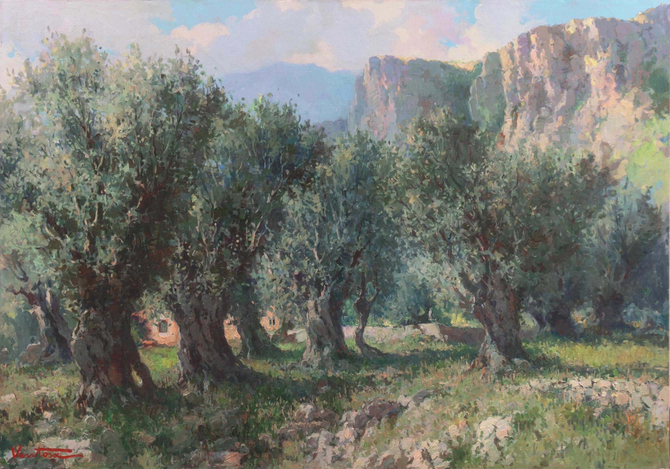 Jose Ventosa Domenech Landscape Painting - 'Olive Groves, Mallorca', San Jorge School, Barcelona, Catalonia, Majorca