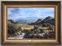 "PARCO NAZIONALE DI BIG BEND" OLIO DEL TEXAS APPLICATO A SPATOLA INCORNICIATO 33 X 45
