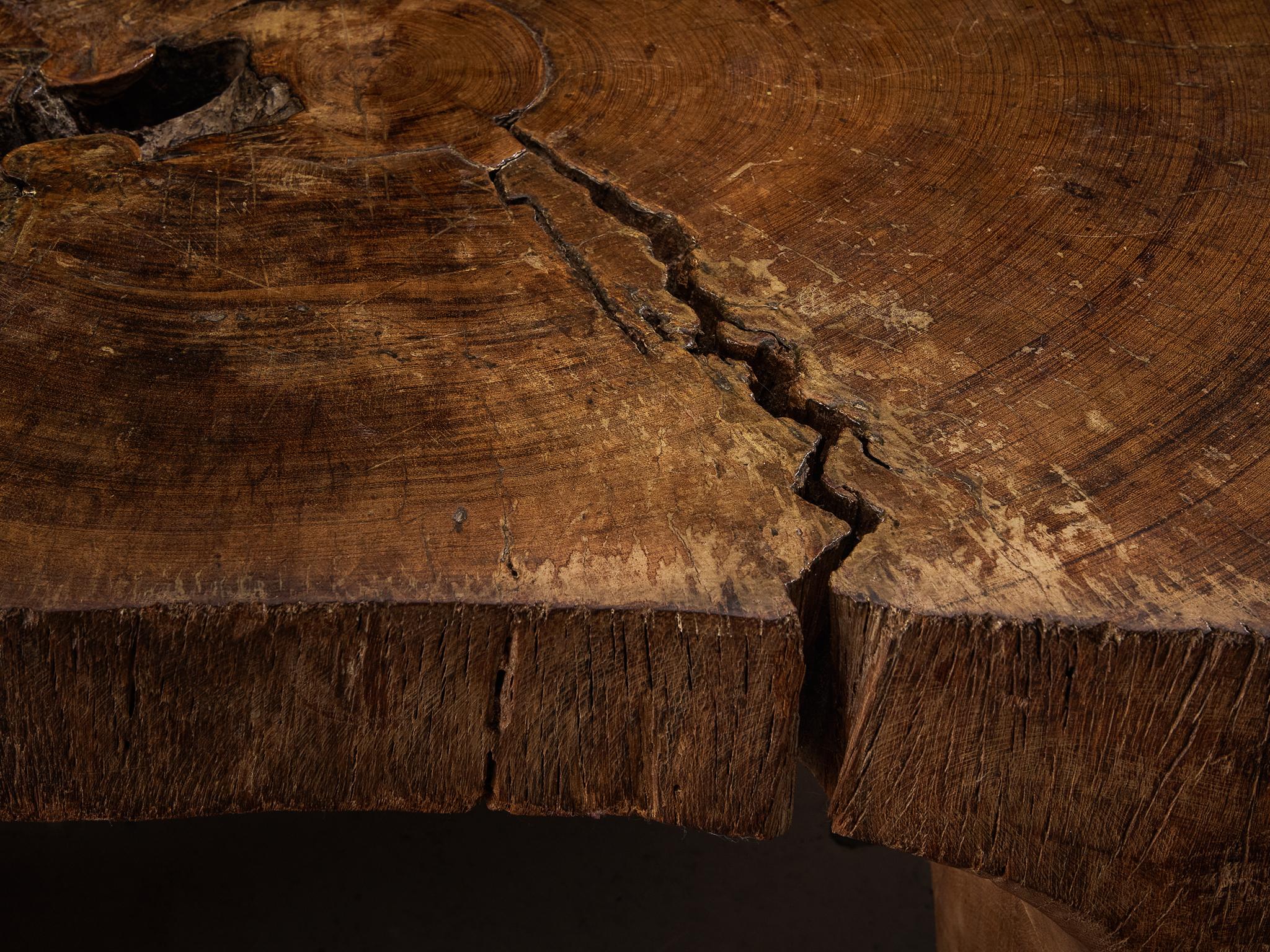 Bois de feuillus José Zanine Caldas Table basse sculptée à la main en bois dur brésilien en vente